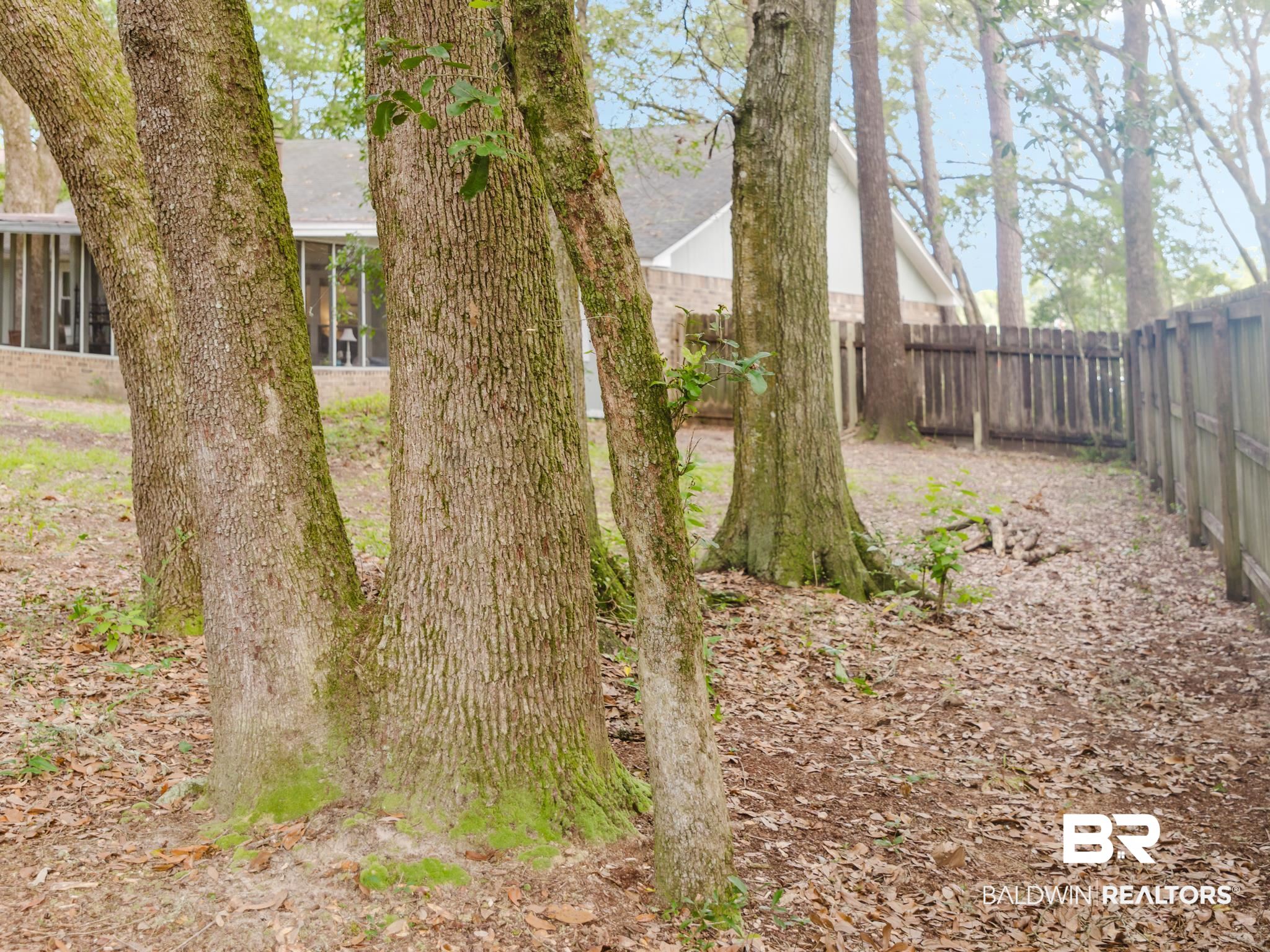 399520 | Photo 29