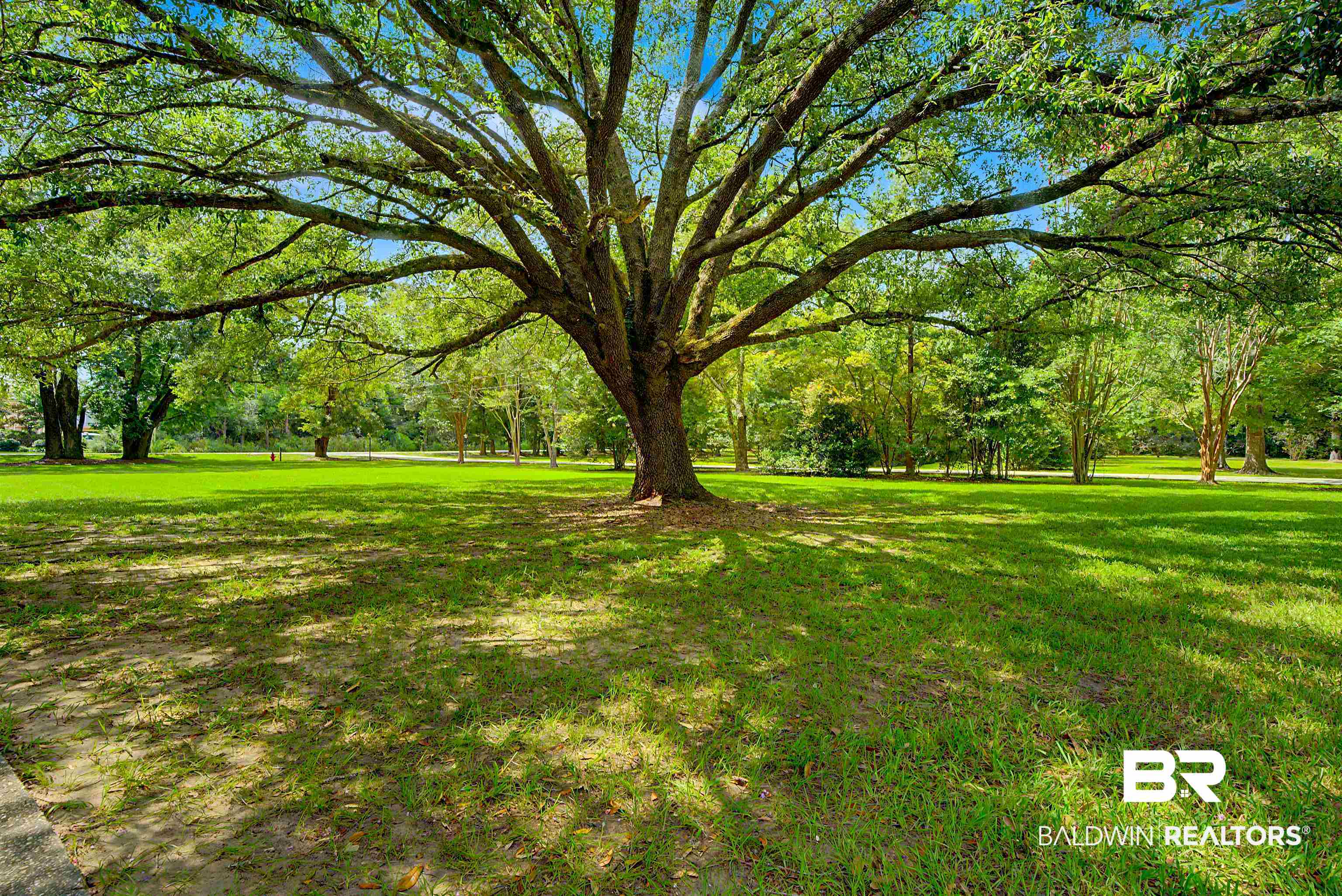 399633 | Photo 29