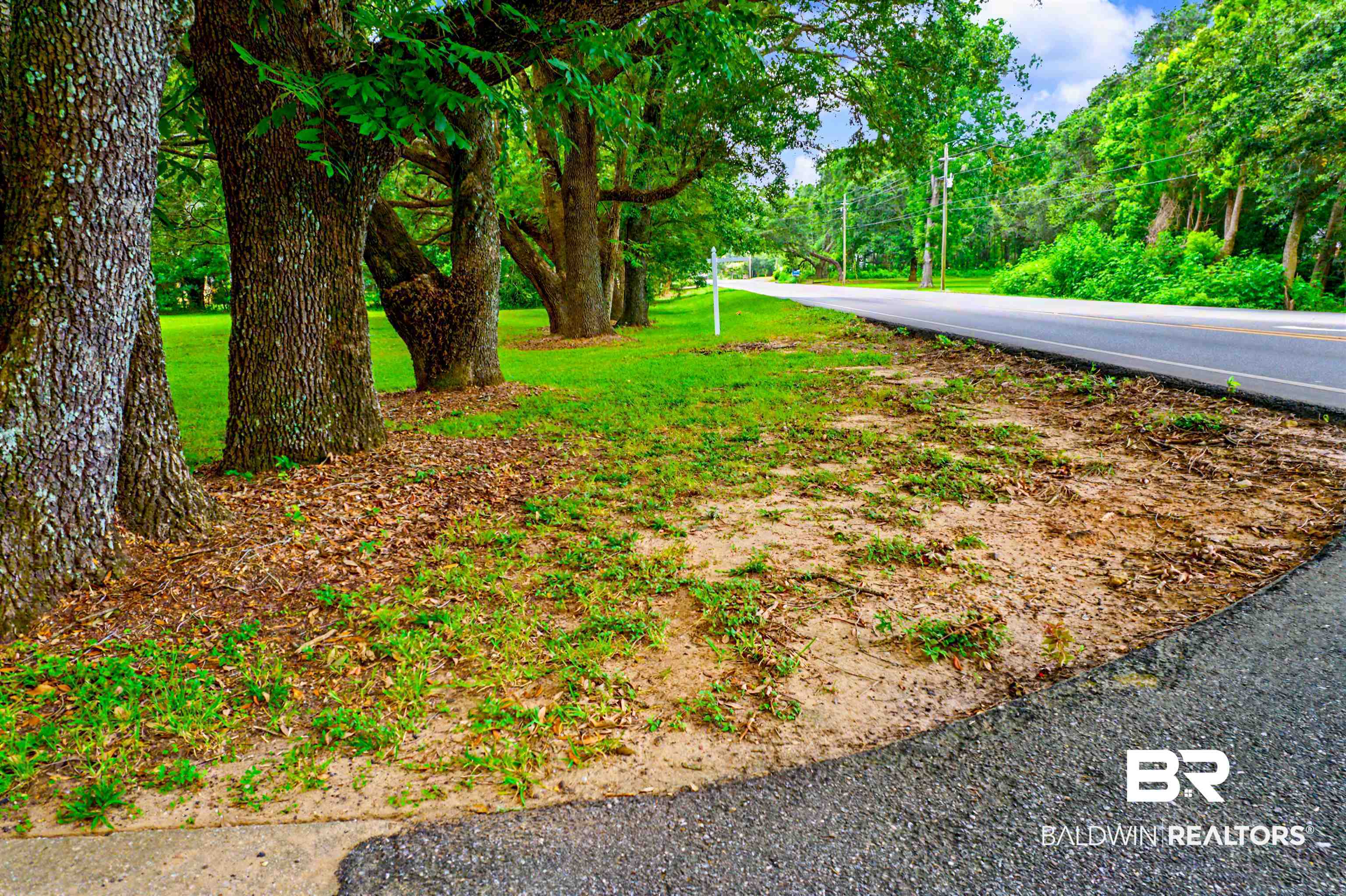 399633 | Photo 33