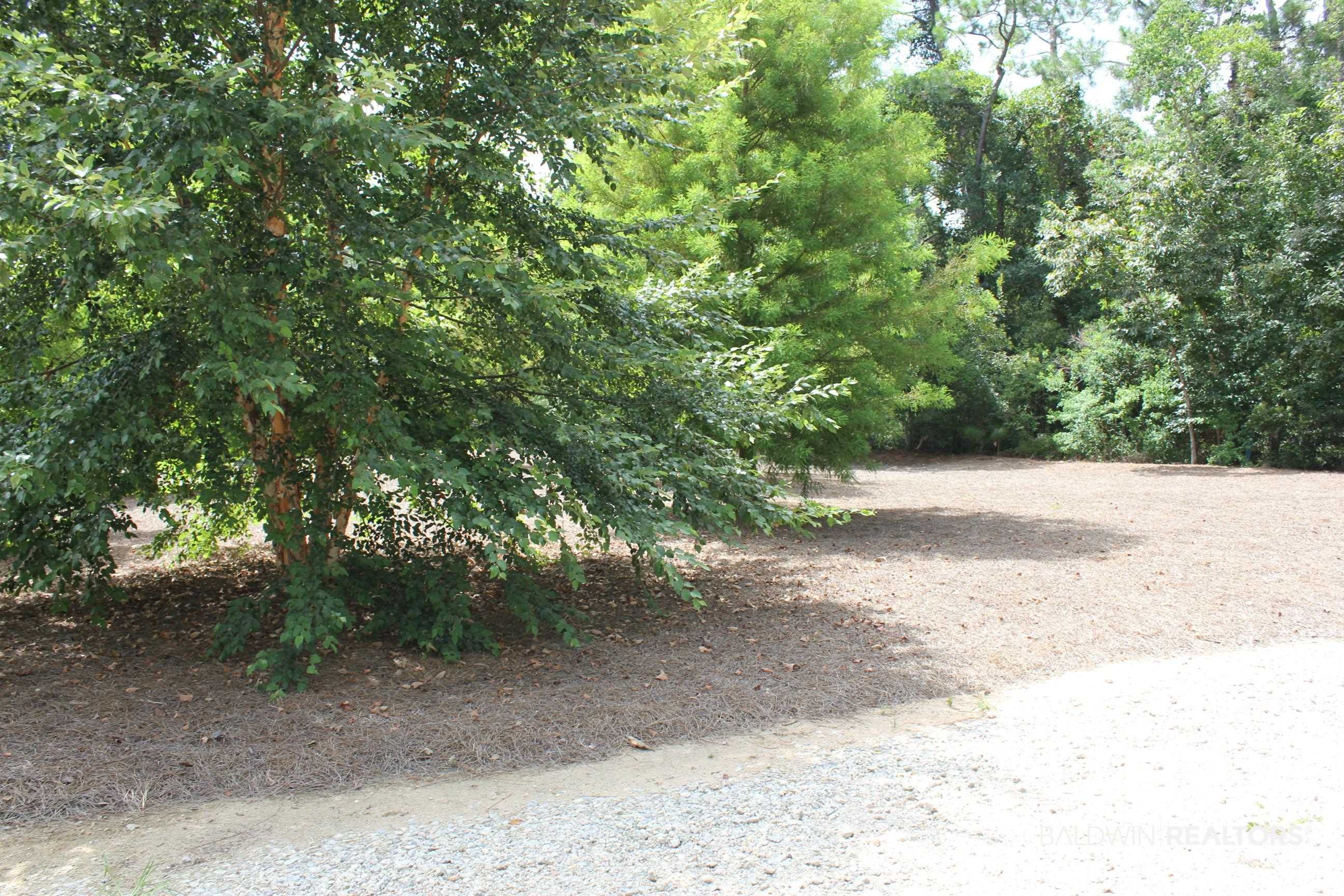 399658 | Photo 31