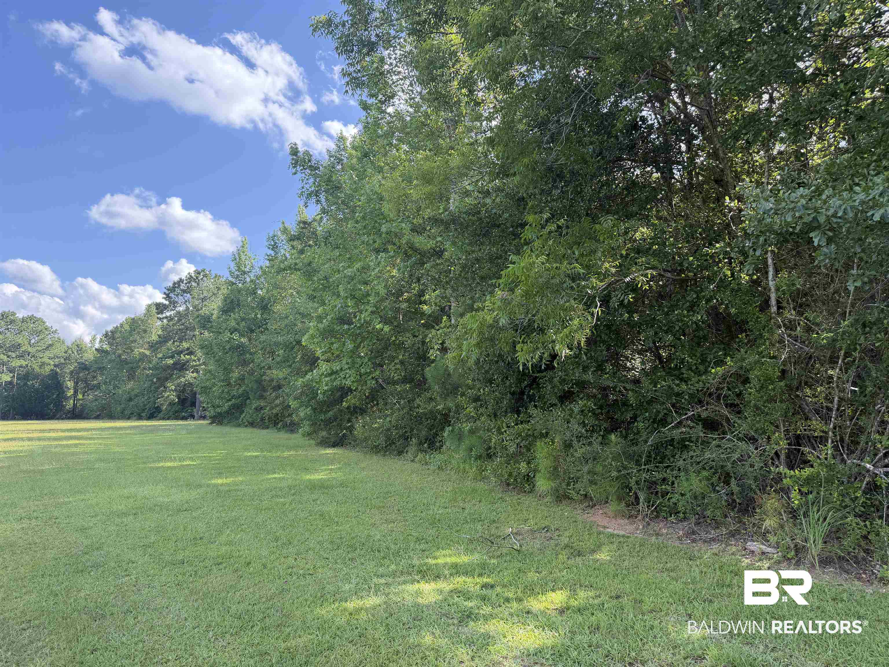 3rd image of 0 Hall Crk Rd, Brewton, AL 36426 | MLS# 399565