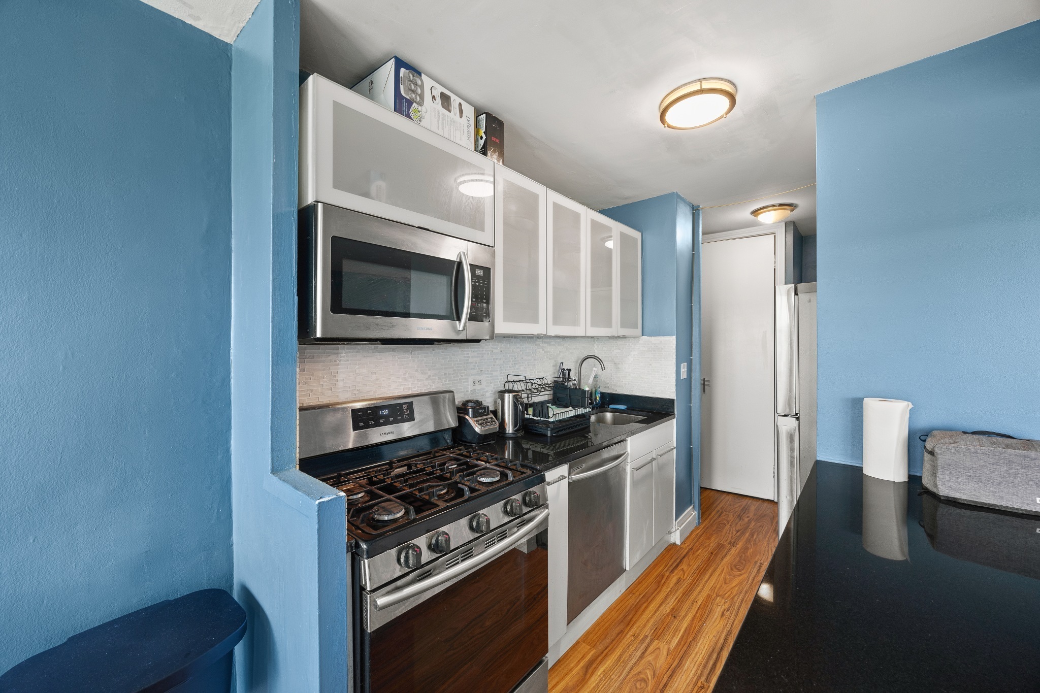 12399 Flatlands Avenue New Lots Brooklyn NY 11207