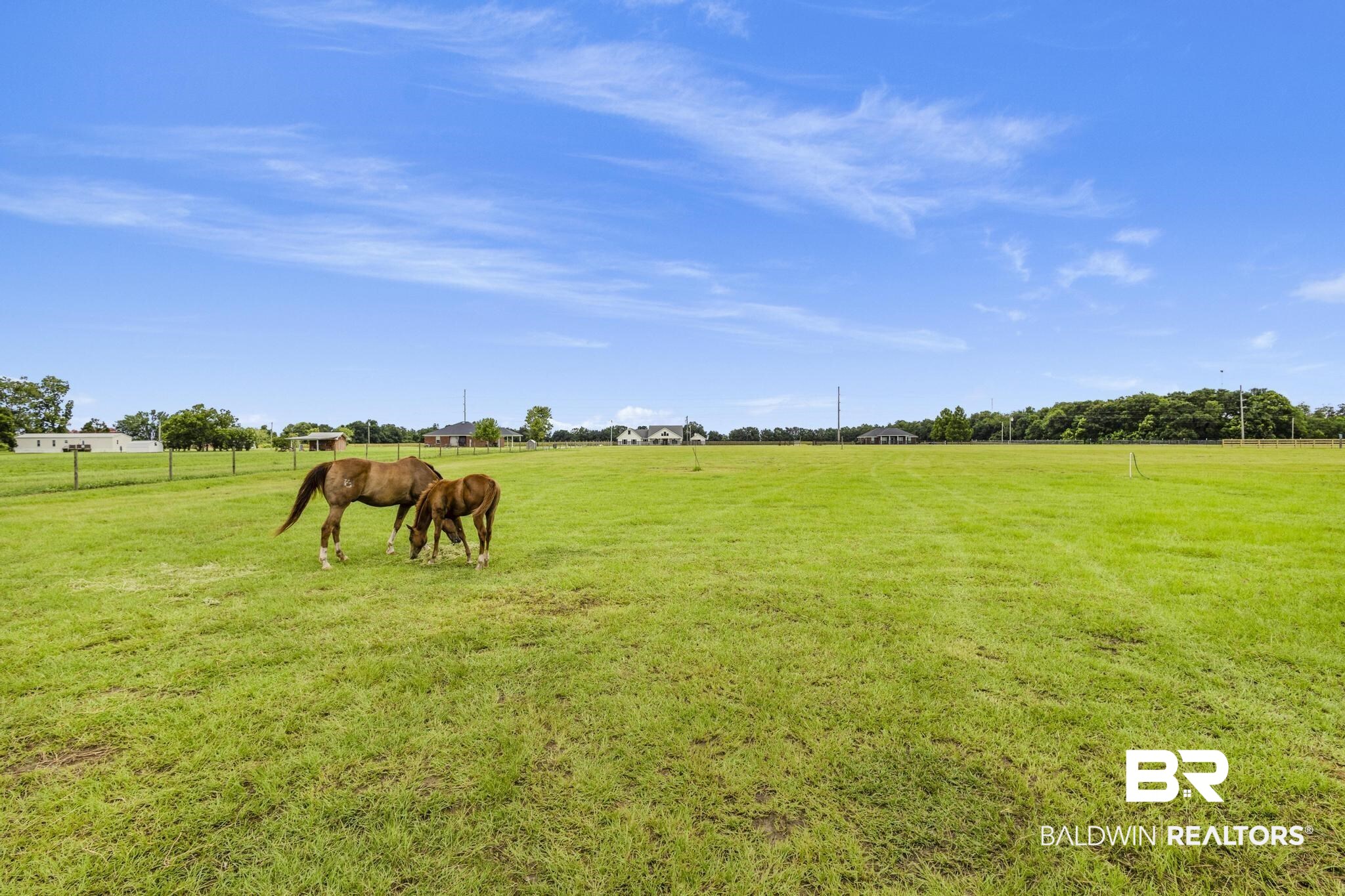 399780 | Photo 10