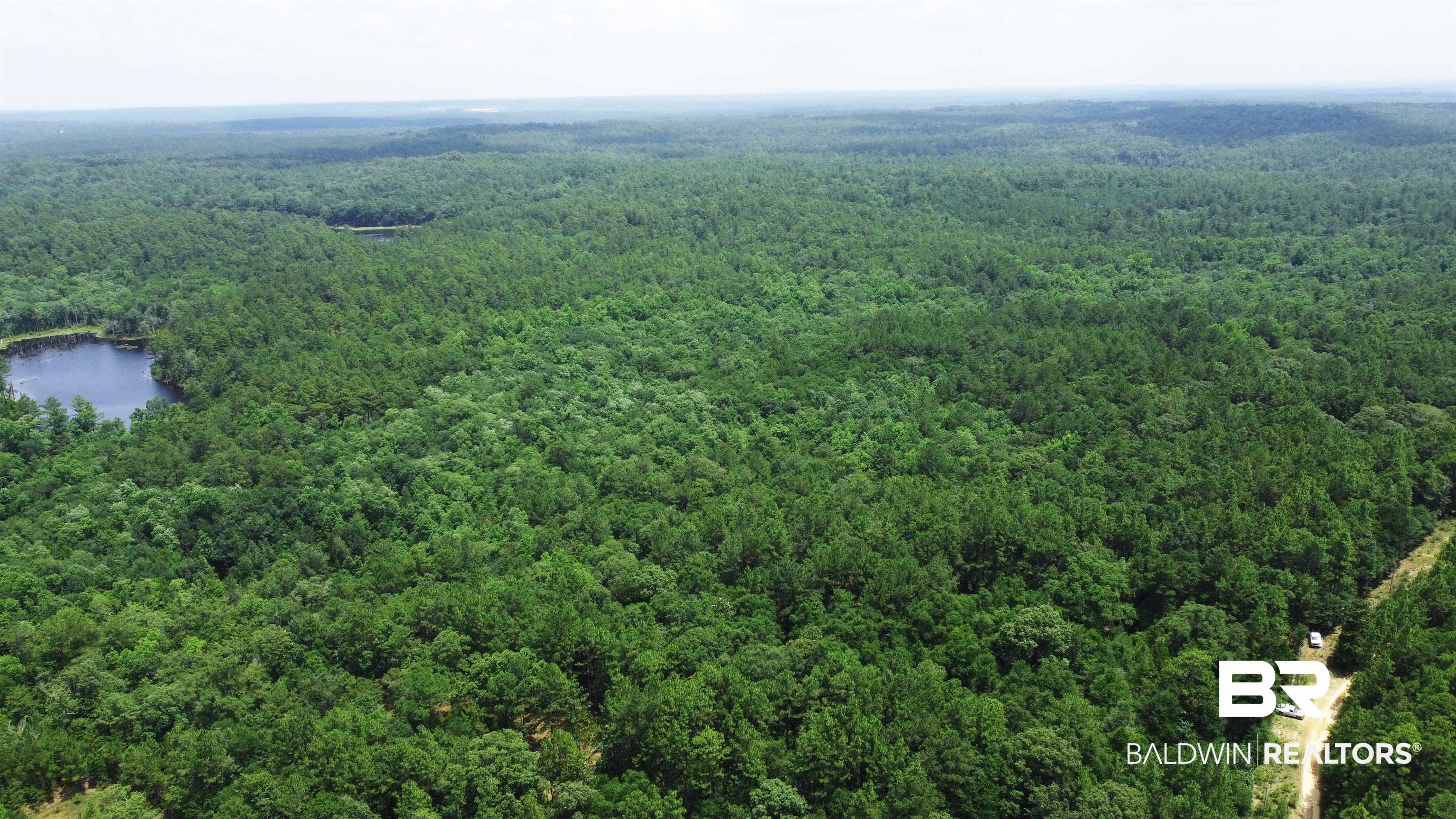 19th image of 15976 Cochran Rd, Citronelle, AL 36522 | MLS# 399768