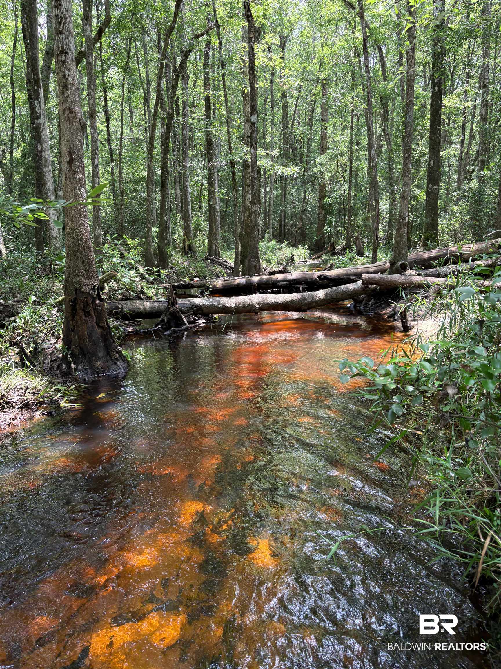 2nd image of 15976 Cochran Rd, Citronelle, AL 36522 | MLS# 399768