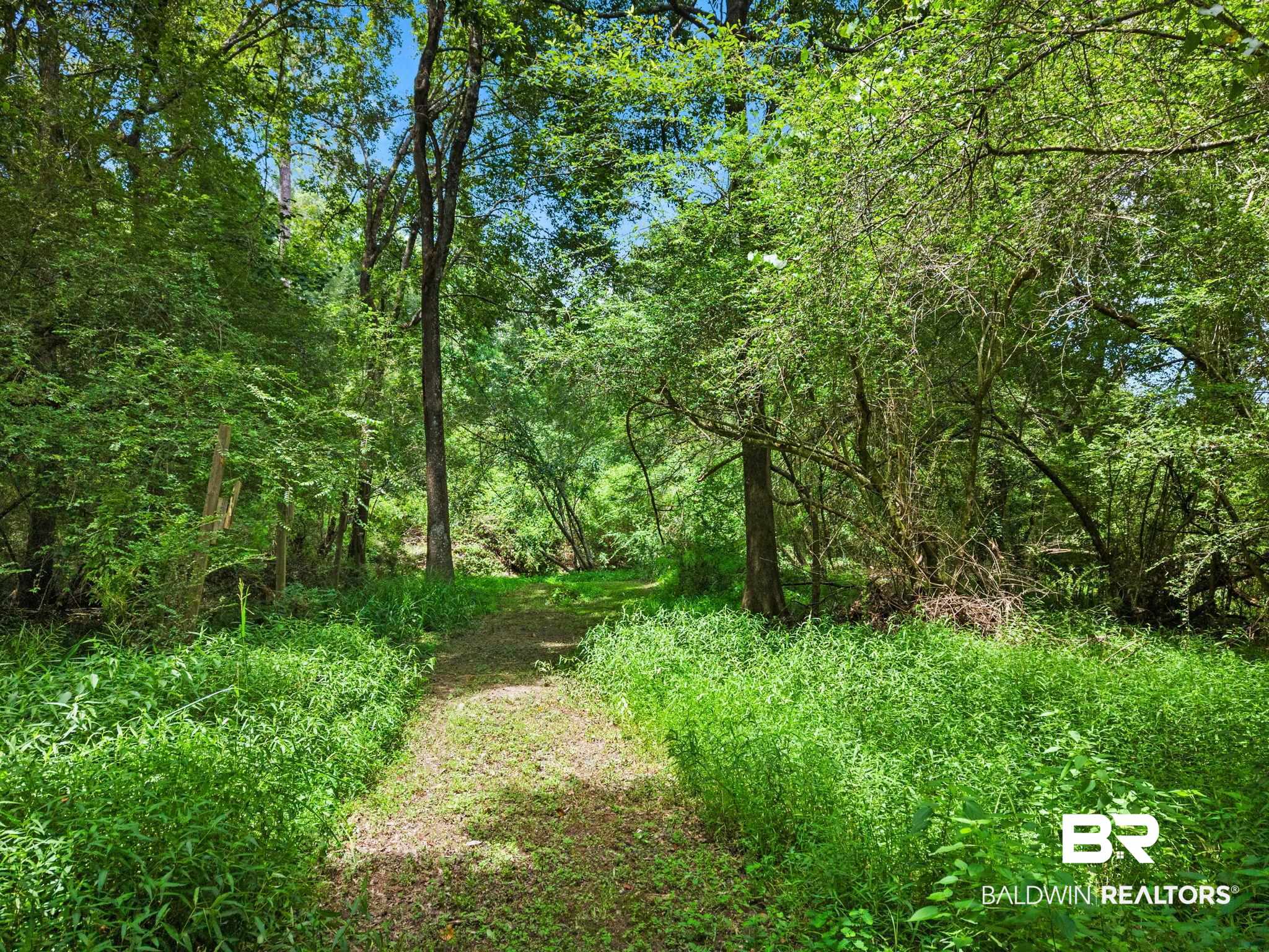 3rd image of 3470 Bell Frk Rd, Atmore, AL 36502 | MLS# 399836