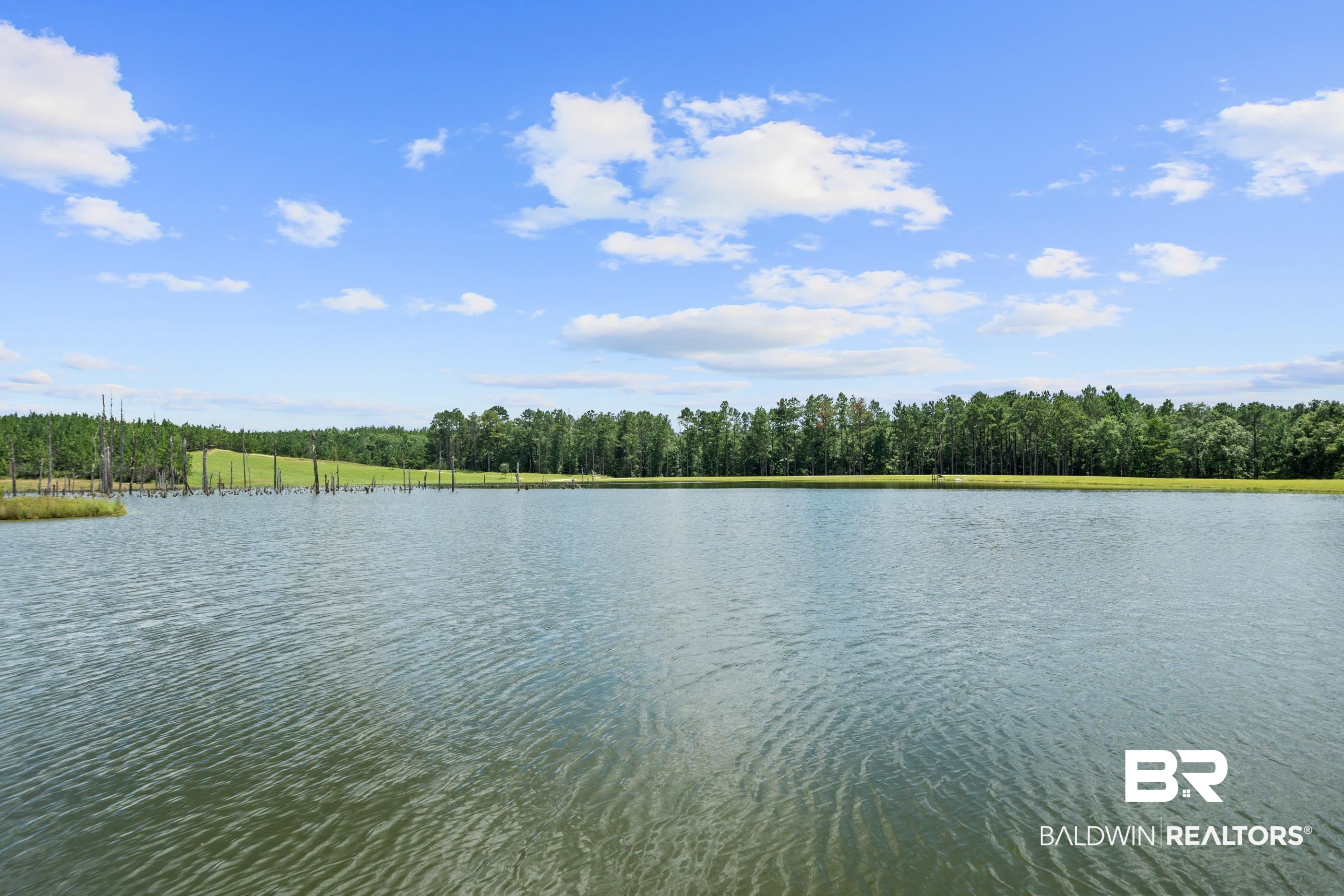 399930 | Photo 10