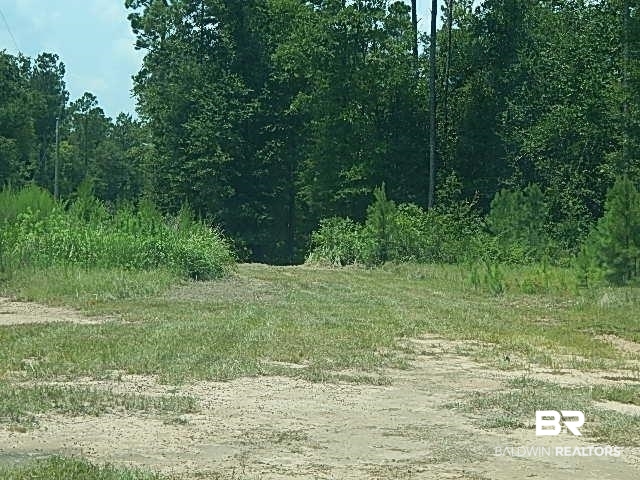 29th image of 29863 County Rd 87, Robertsdale, AL 36567 | MLS# 399958