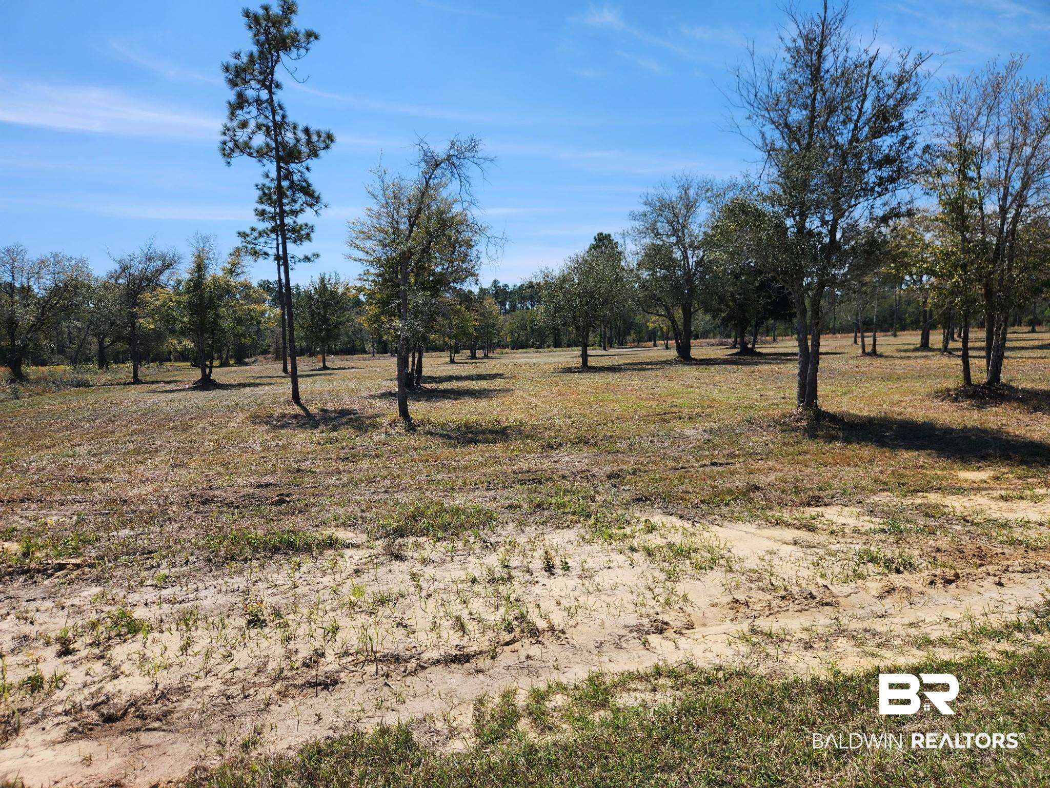 2nd image of 0 Strasbourg Ln, Elberta, AL 36560 | MLS# 398687