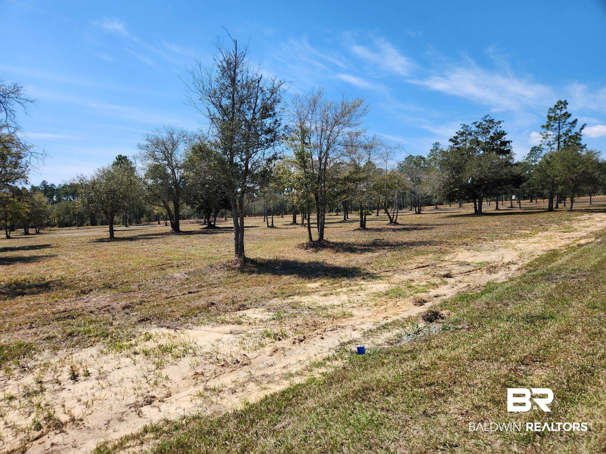 3rd image of 0 Strasbourg Ln, Elberta, AL 36560 | MLS# 398687