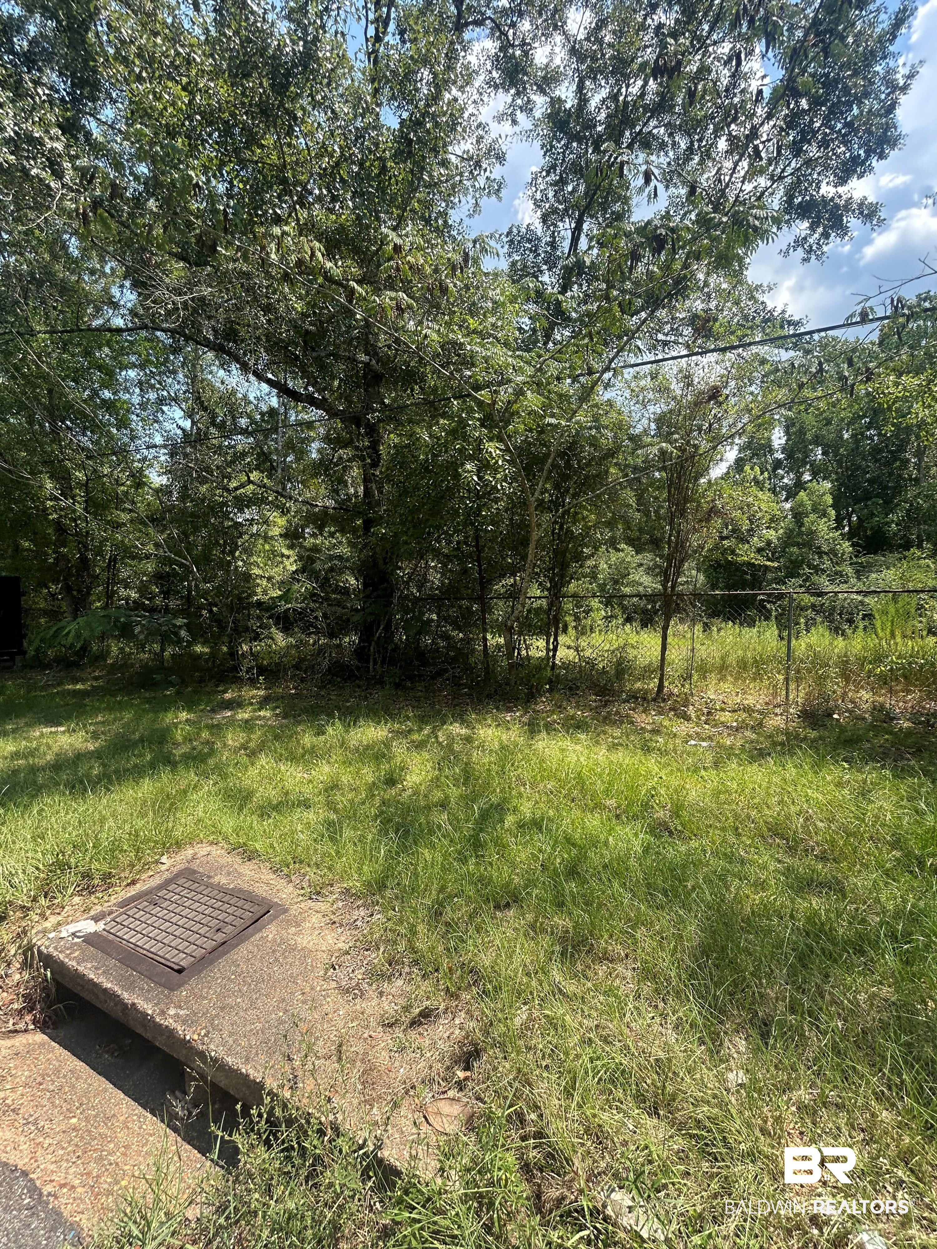 5th image of 0 Carroll Ave, Eight Mile, AL 36613 | MLS# 399792
