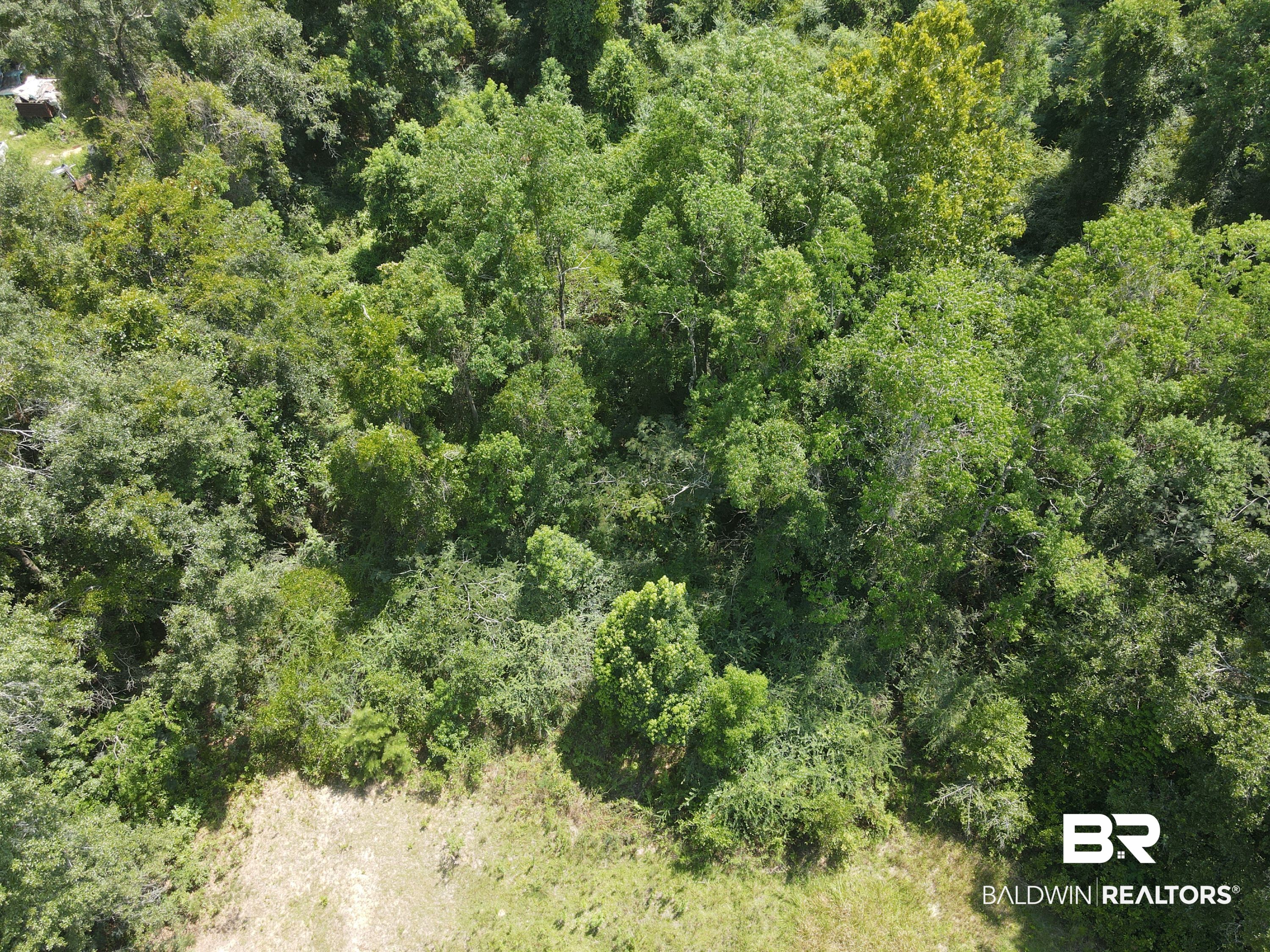 6th image of 0 Carroll Ave, Eight Mile, AL 36613 | MLS# 399792
