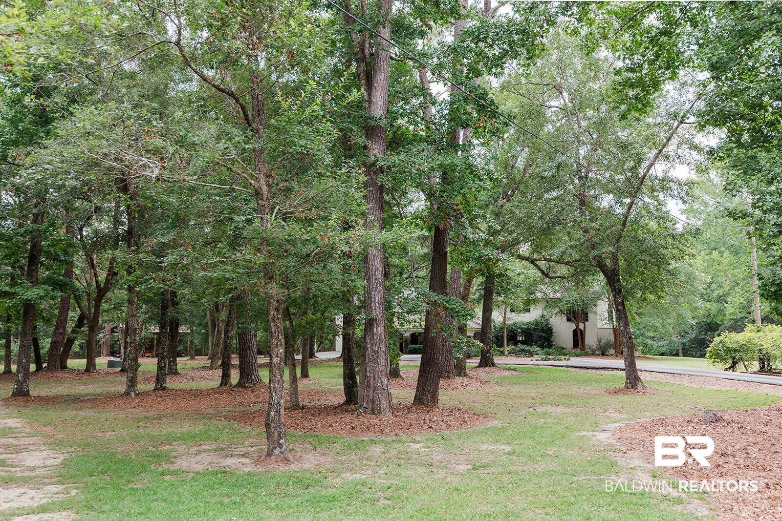 406611 | Photo 47