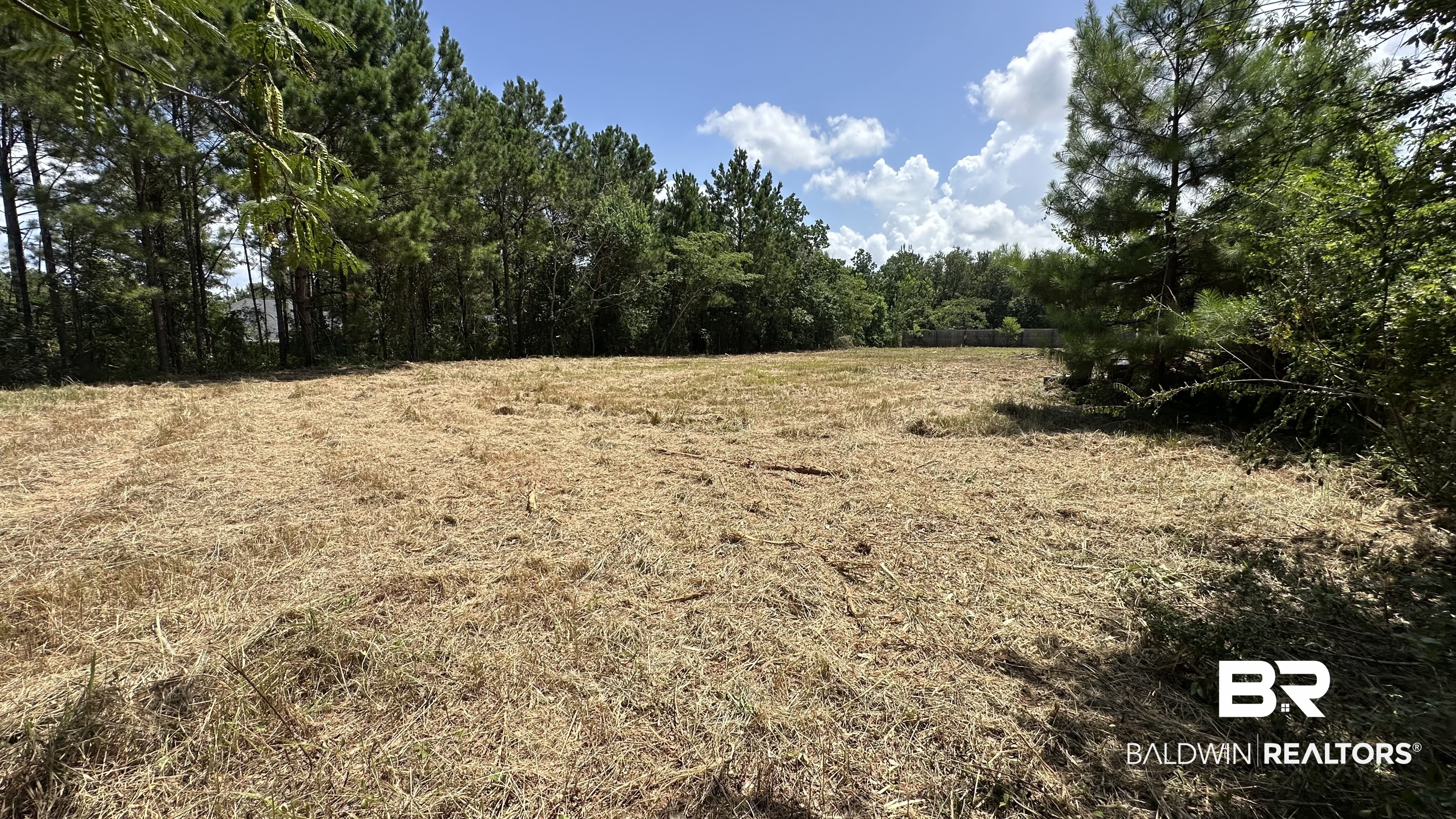 15th image of 0 World Ct #Lot 14, Daphne, AL 36526 | MLS# 398662