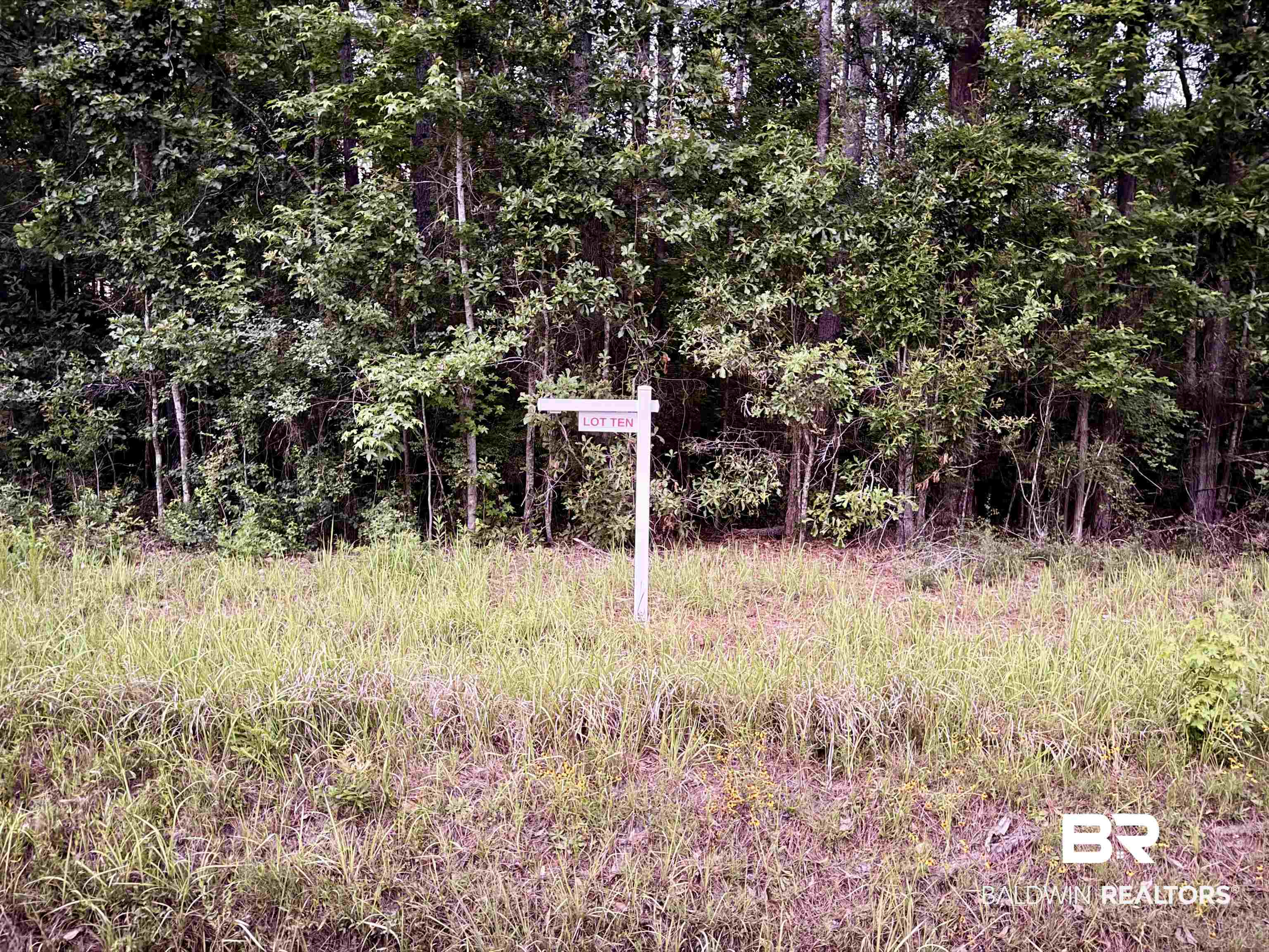 407380 | Photo 14