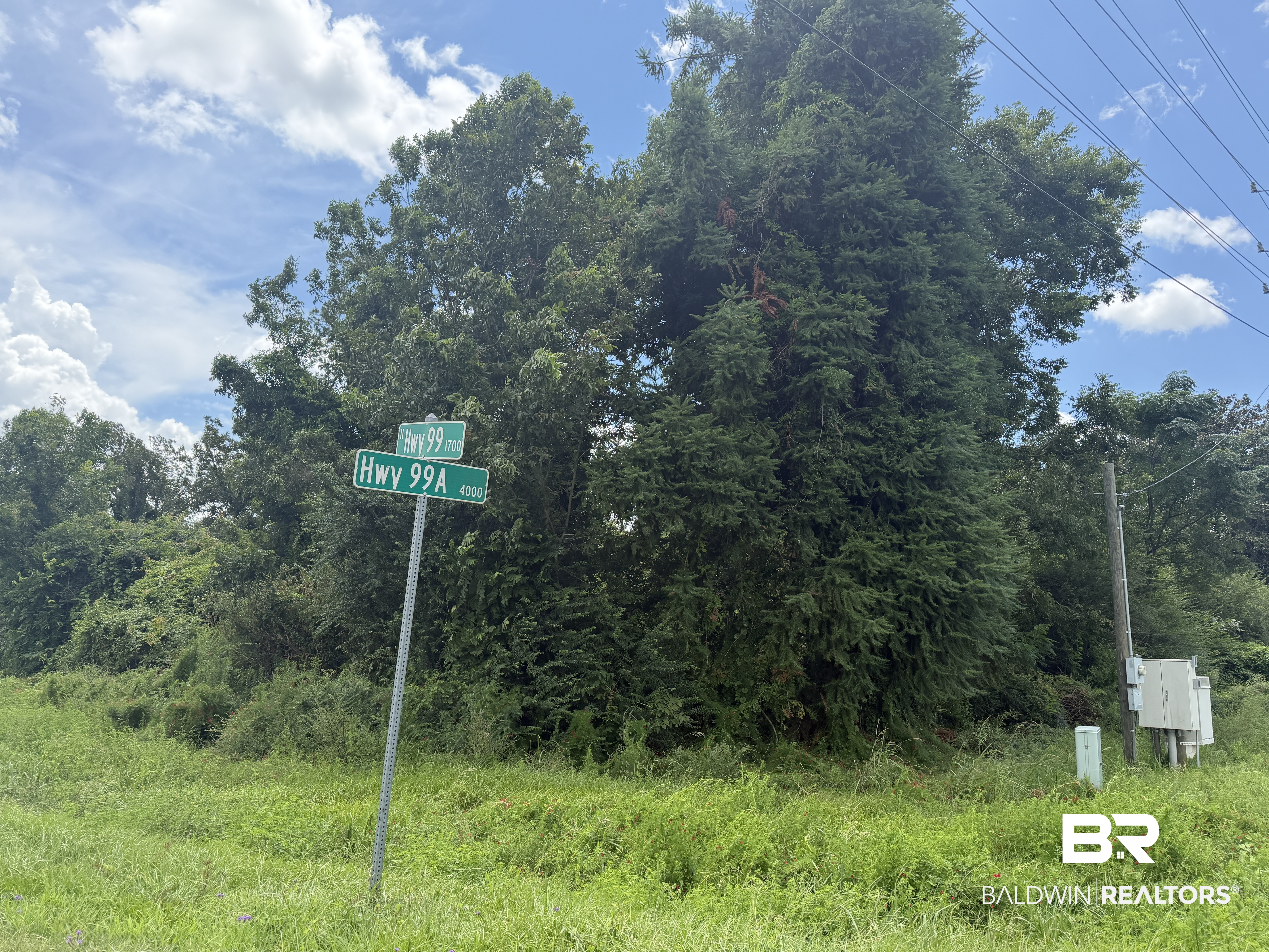 407456 | Photo 3
