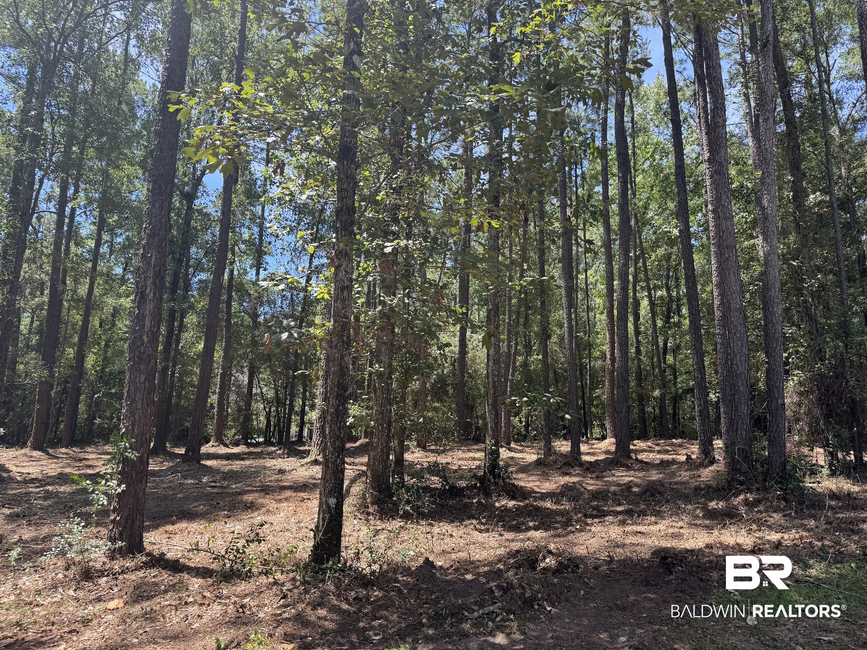 Land For Sale in Spanish Fort AL