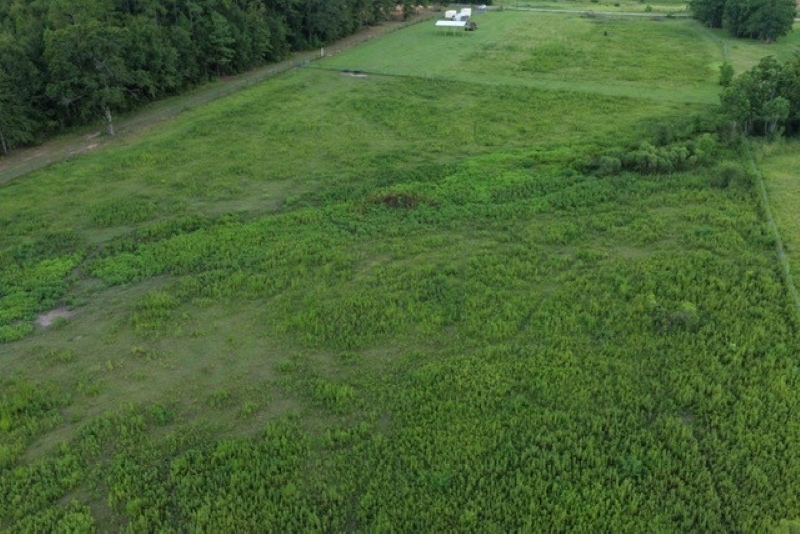 407639 | Photo 13