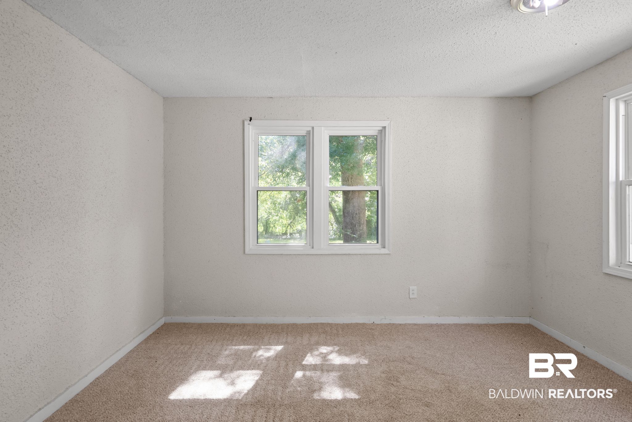 398718 | Photo 15