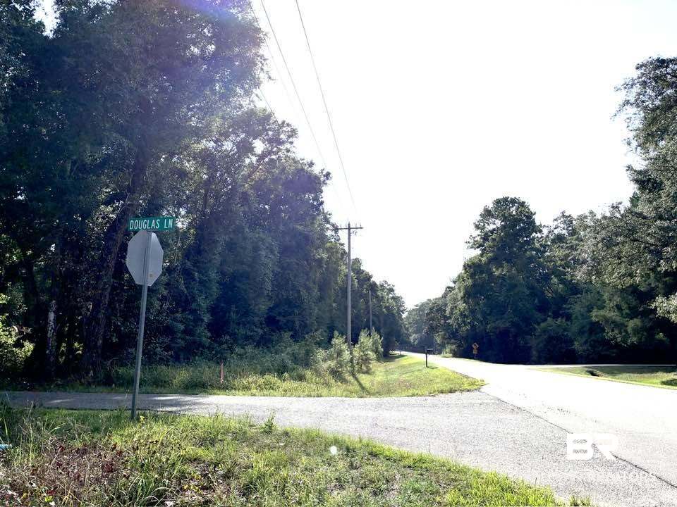 409041 | Photo 2