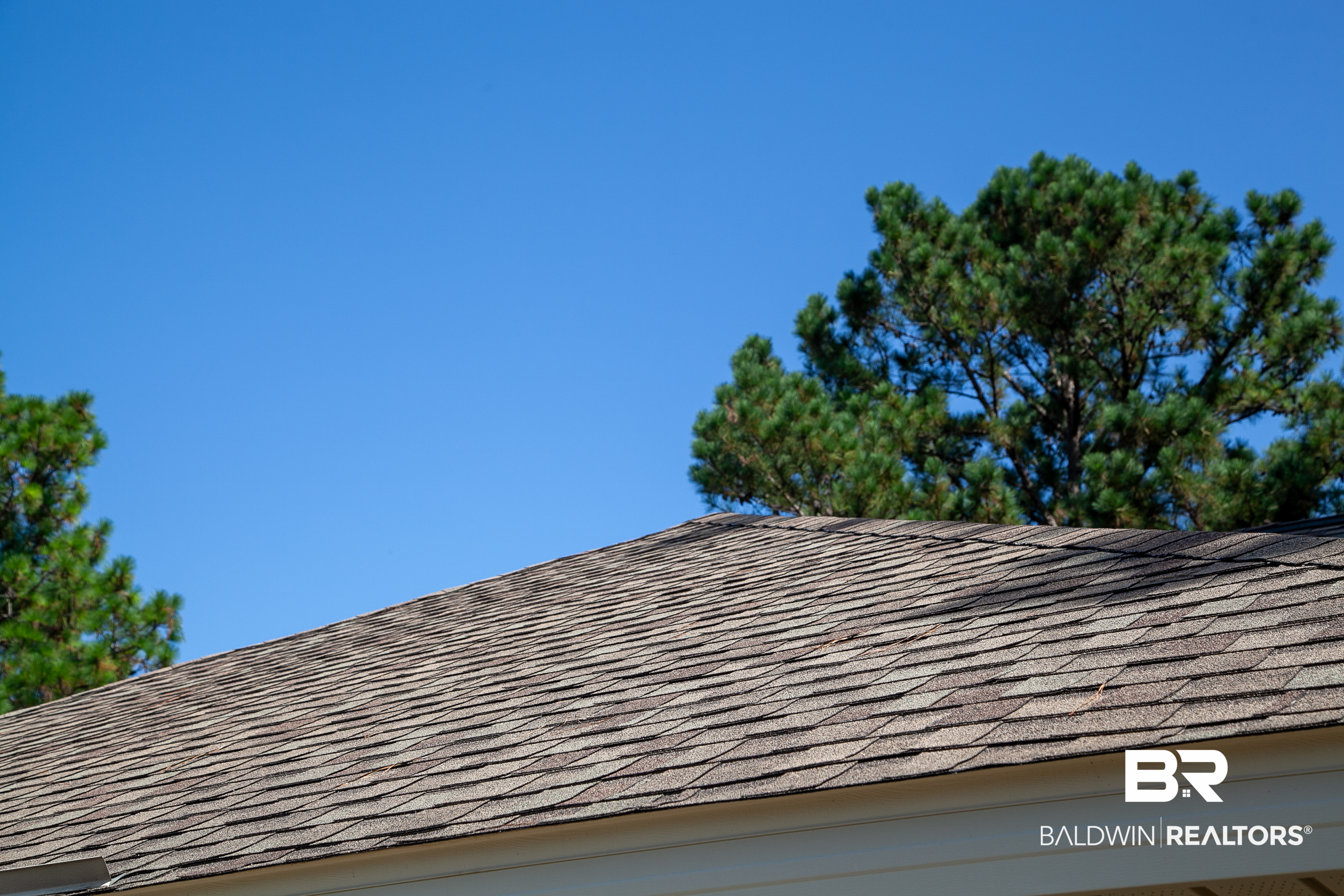 409084 | Photo 27