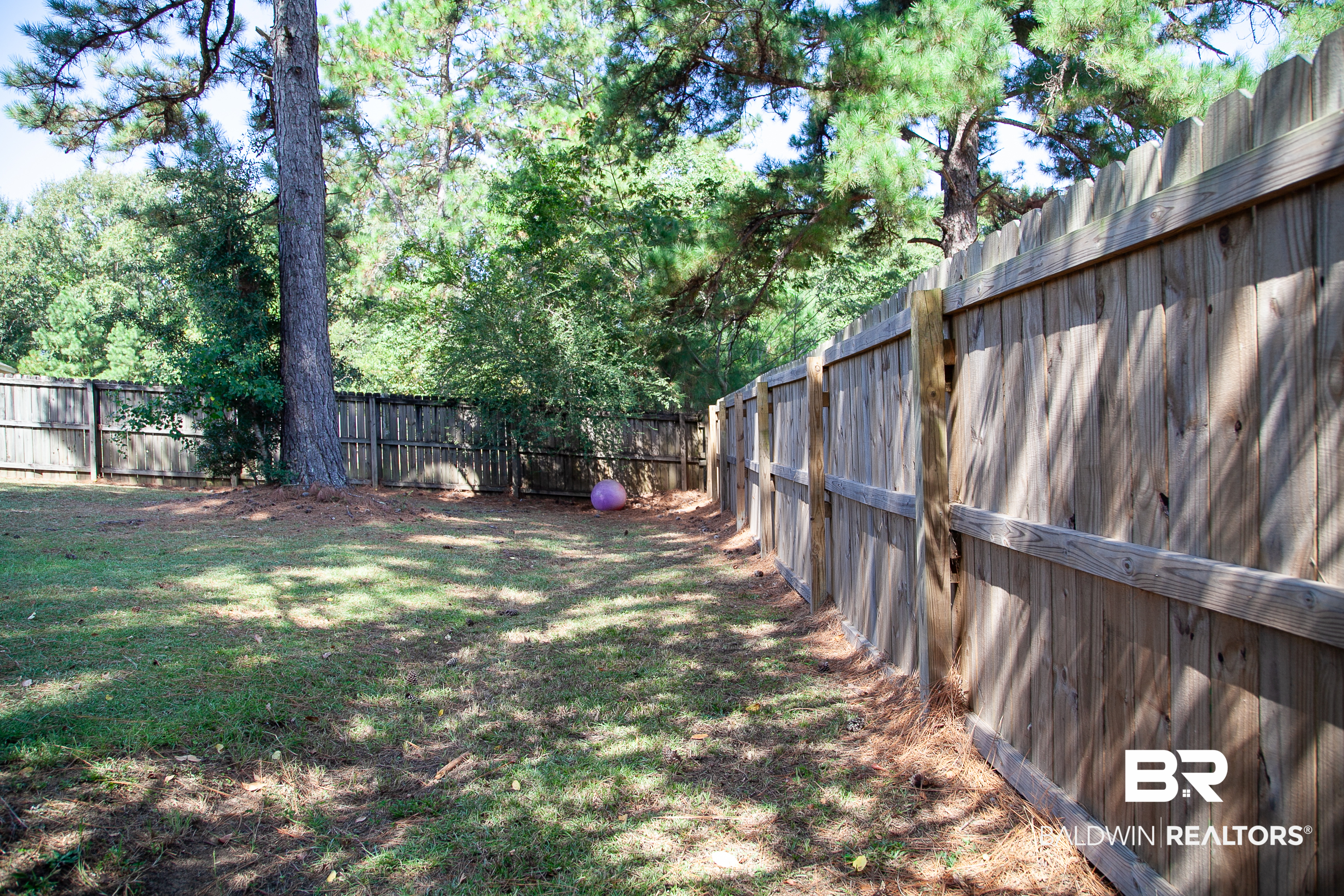 409084 | Photo 26