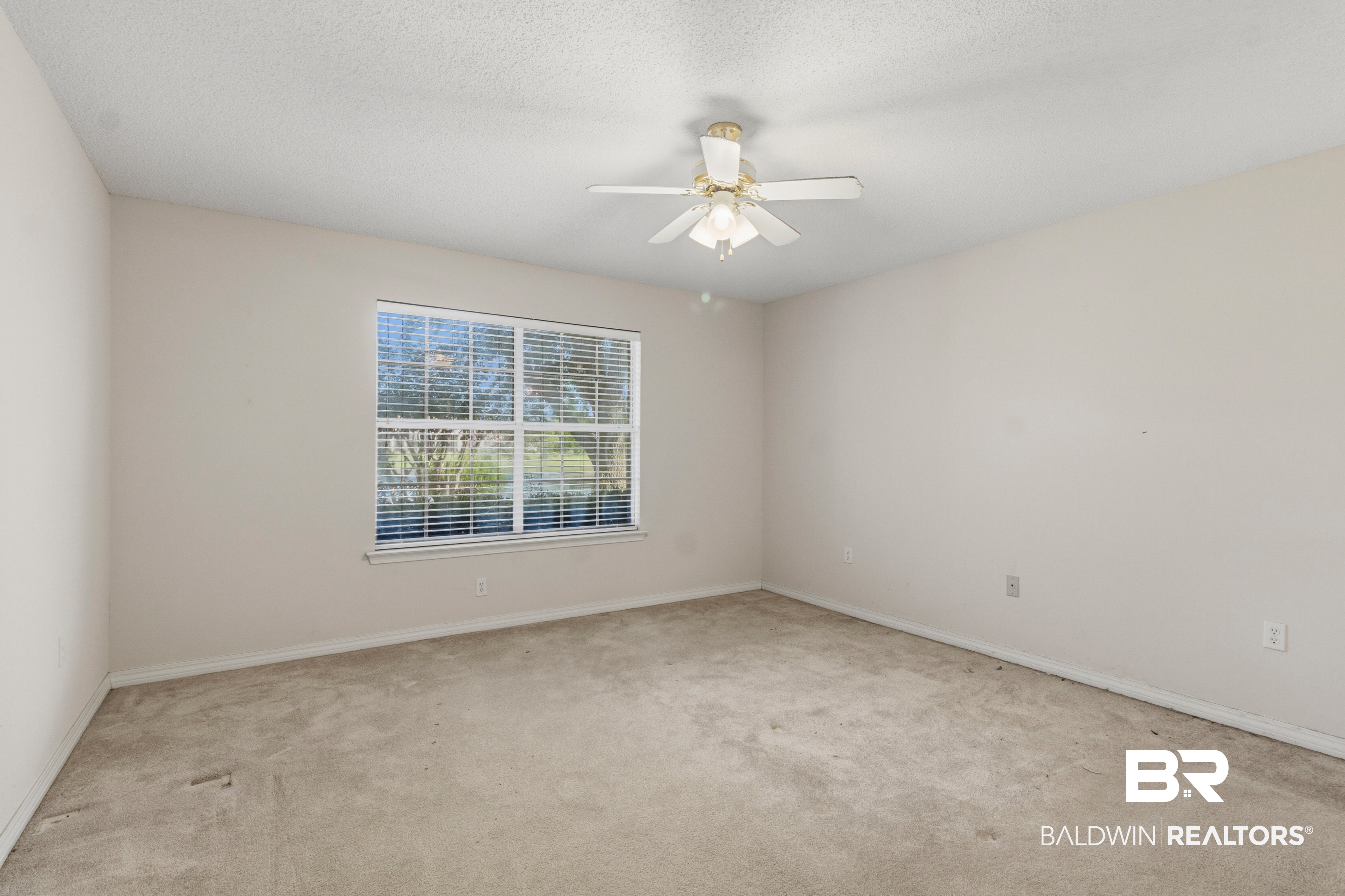 409105 | Photo 23
