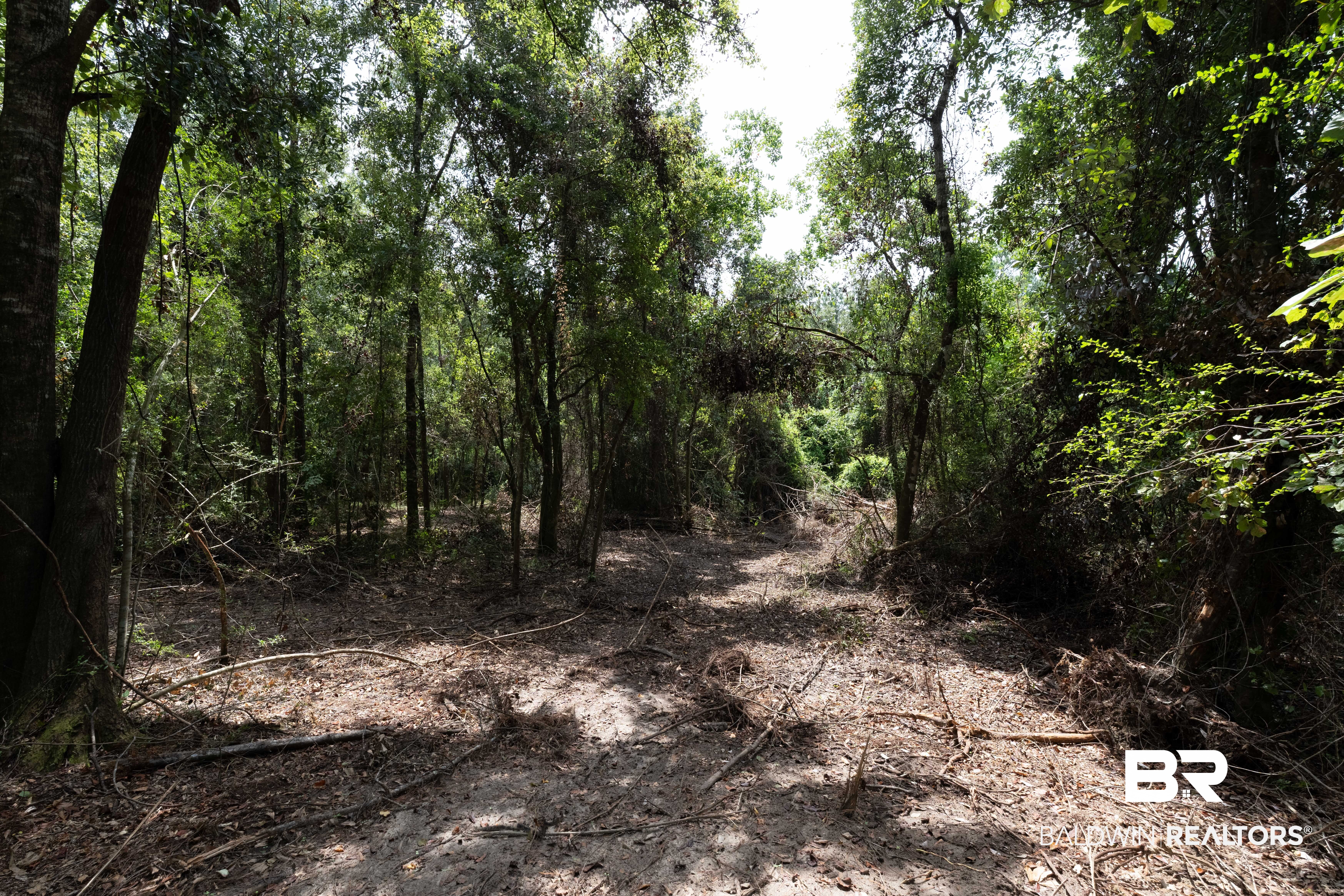 20th image of 24958 County Road 71, Robertsdale, AL 36567 | MLS# 408624