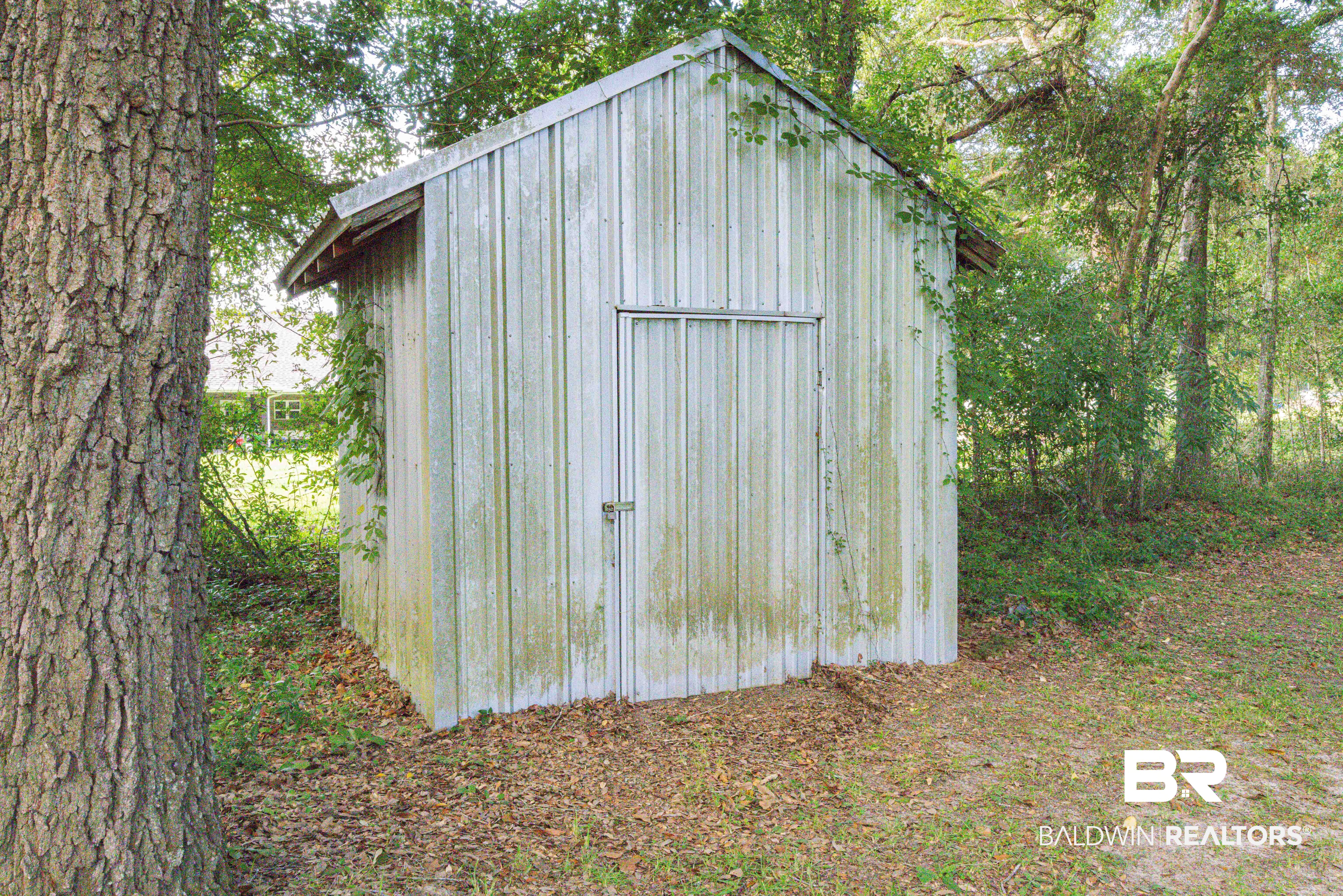 407478 | Photo 32