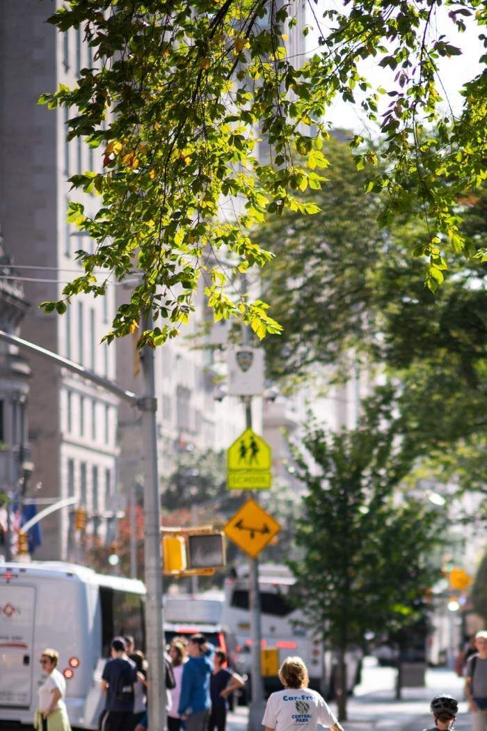 215 East 88th Street 4D Upper East Side New York NY 10128