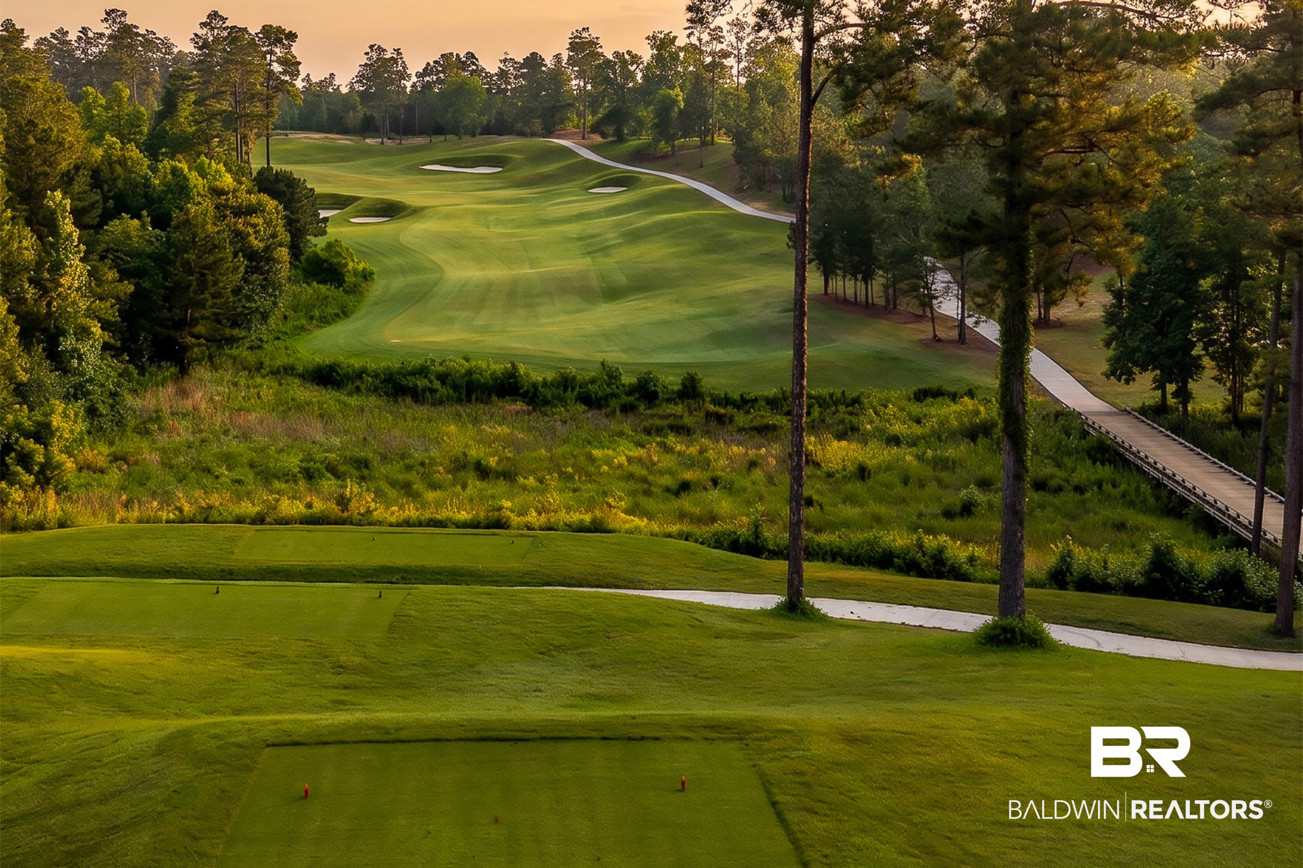 409133 | Photo 23