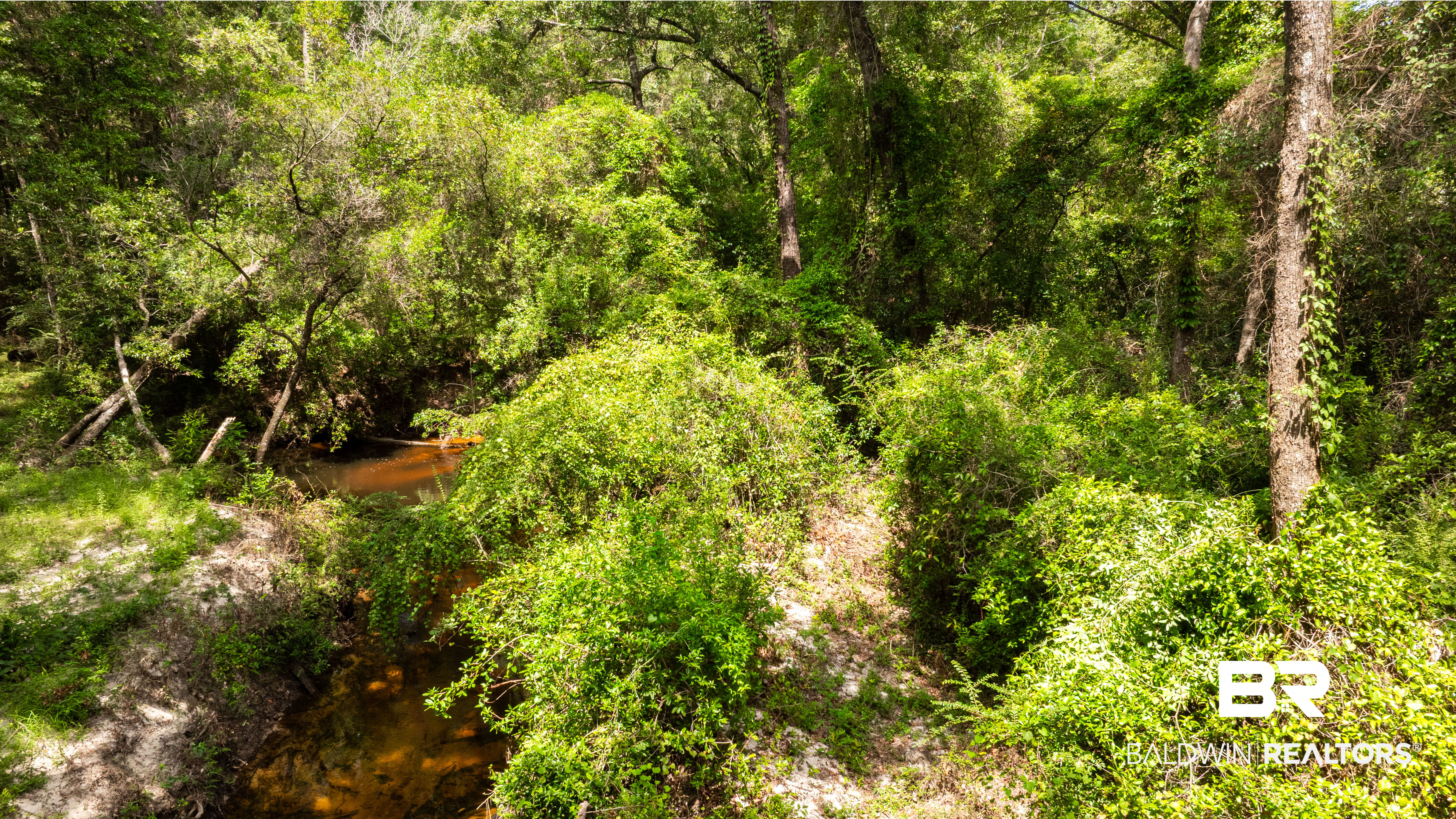 409446 | Photo 31