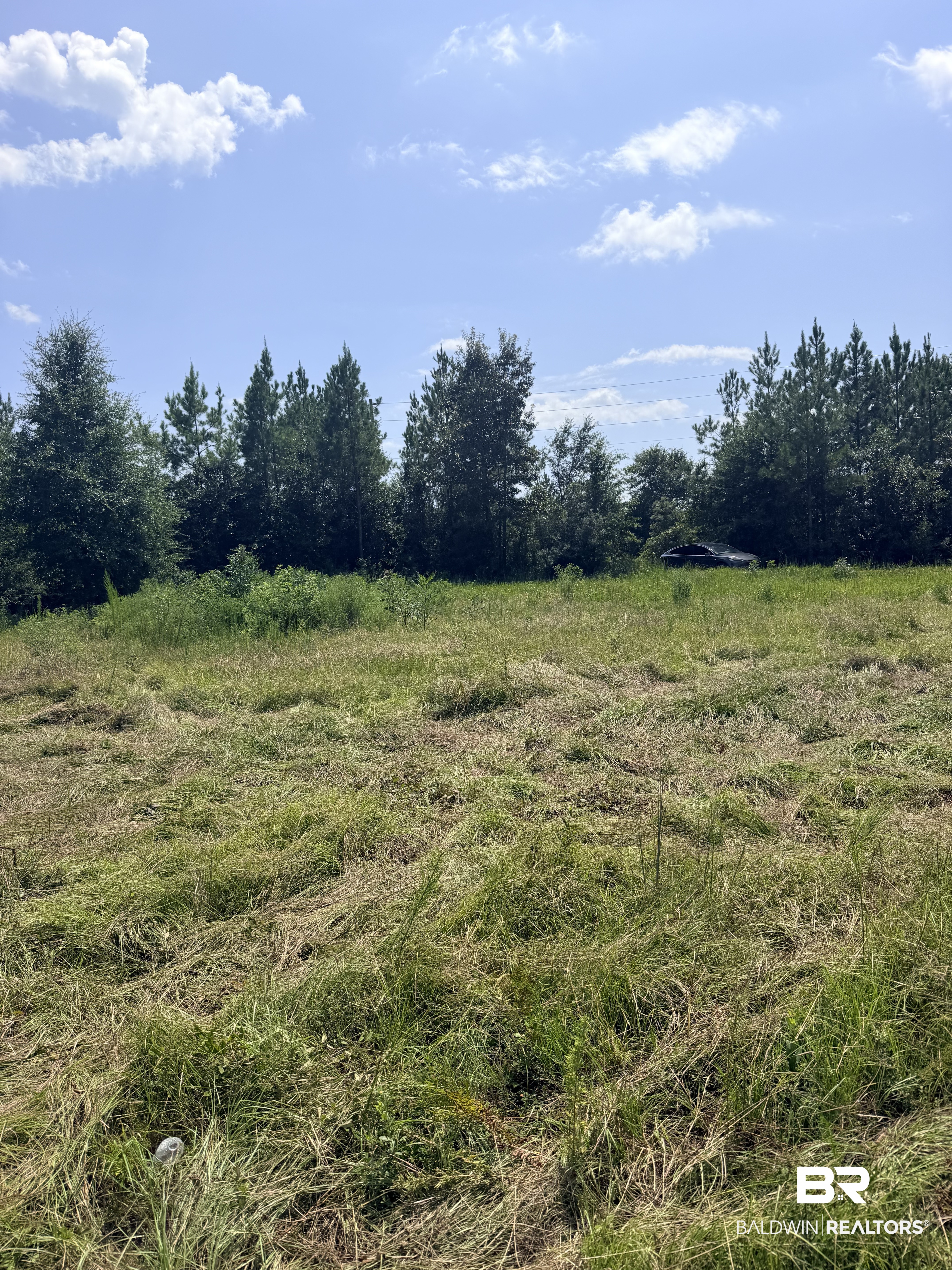 6th image of 27419 Linholm Road, Robertsdale, AL 36567 | MLS# 409485