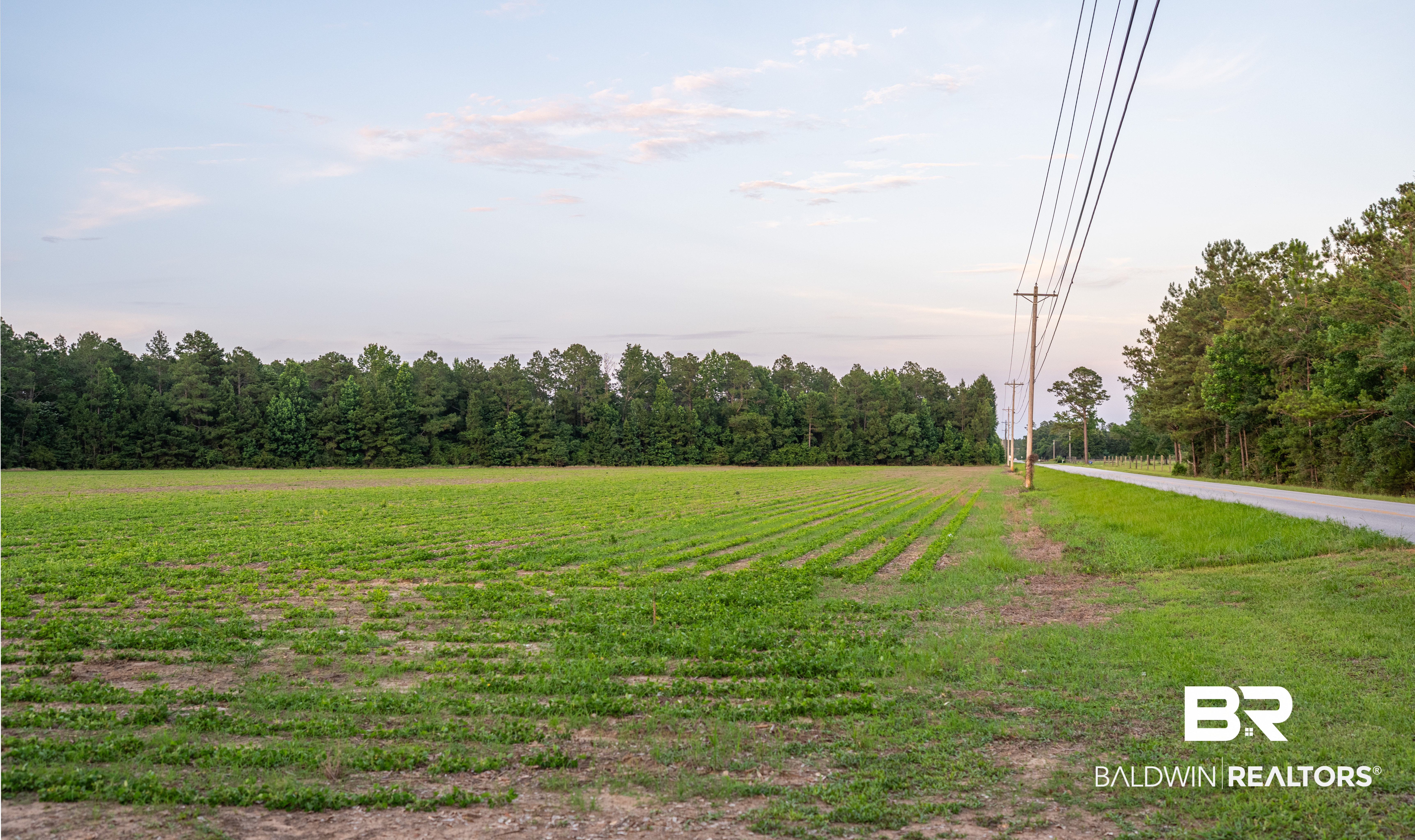 409508 | Photo 24