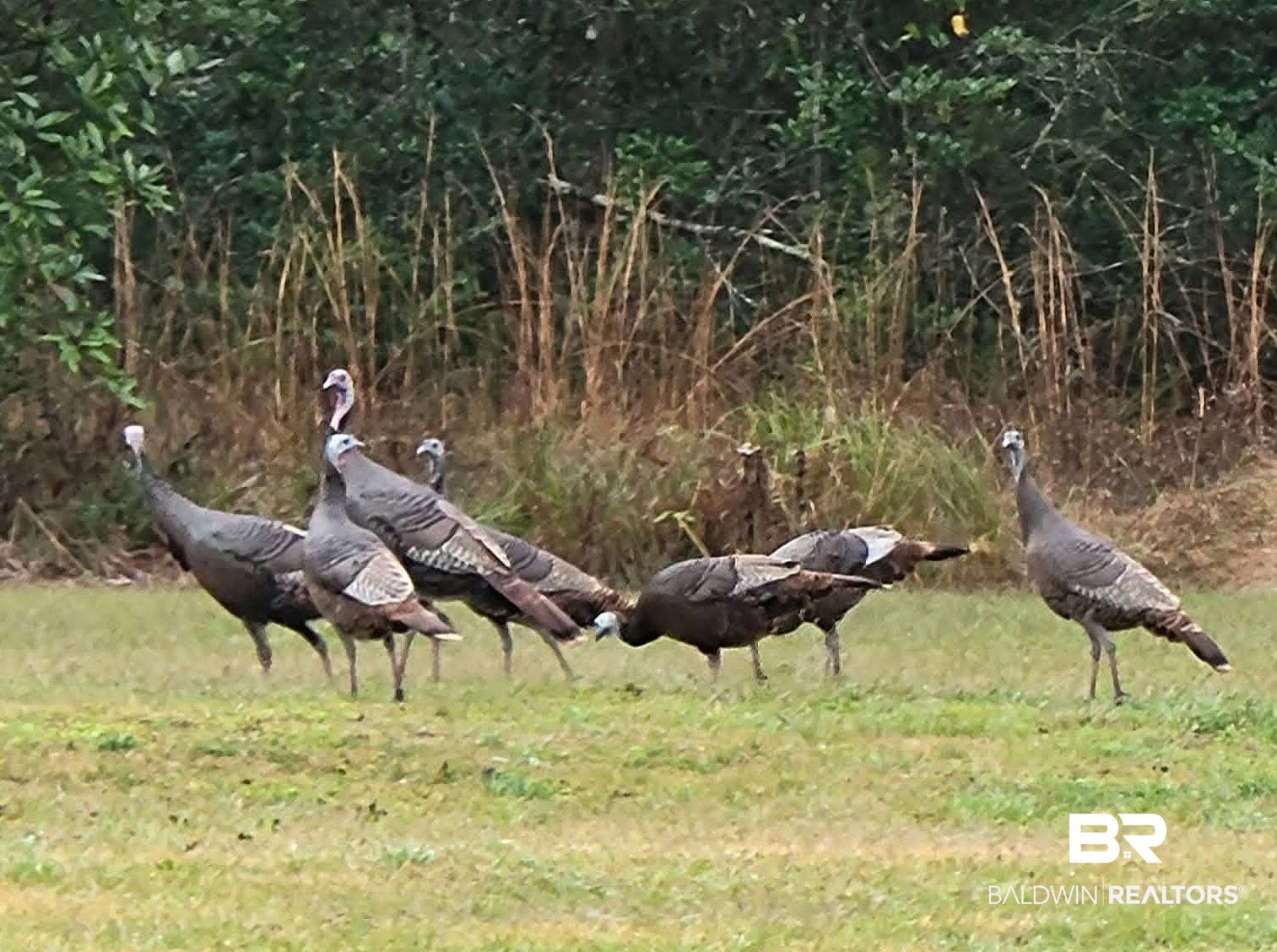 76th image of 15758 County Road 87, Elberta, AL 36530 | MLS# 406986