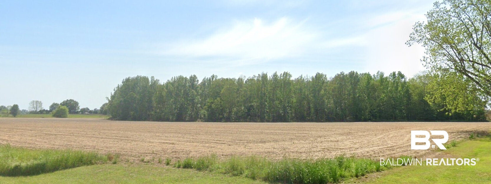 409539 | Photo 2