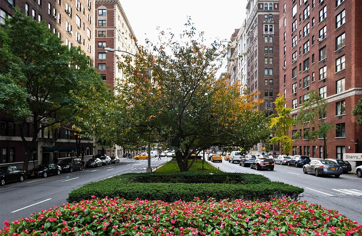 1065 Park Avenue 9D Carnegie Hill New York NY 10128