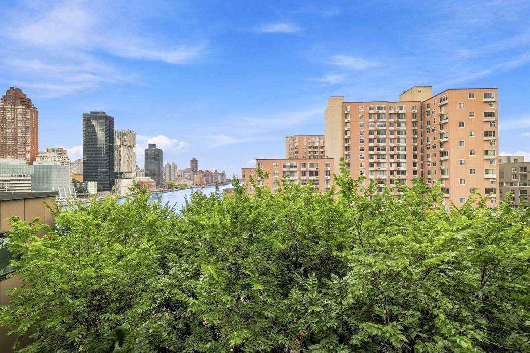 531 Main Street Roosevelt Island New York NY 10044