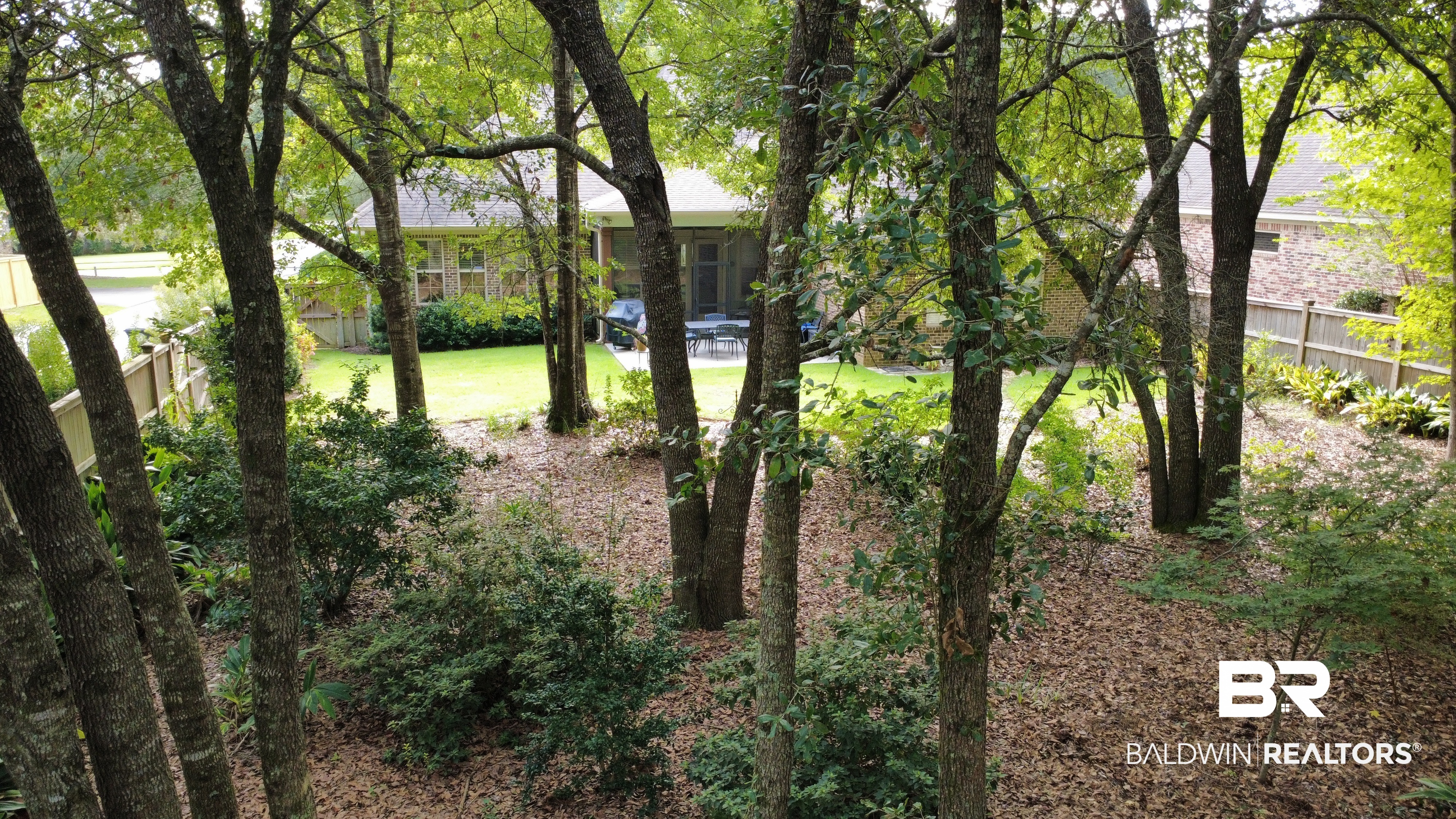 409358 | Photo 10