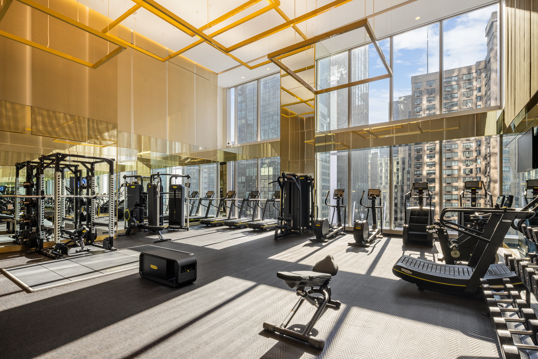 217 West 57th Street 66N Midtown West New York NY 10019