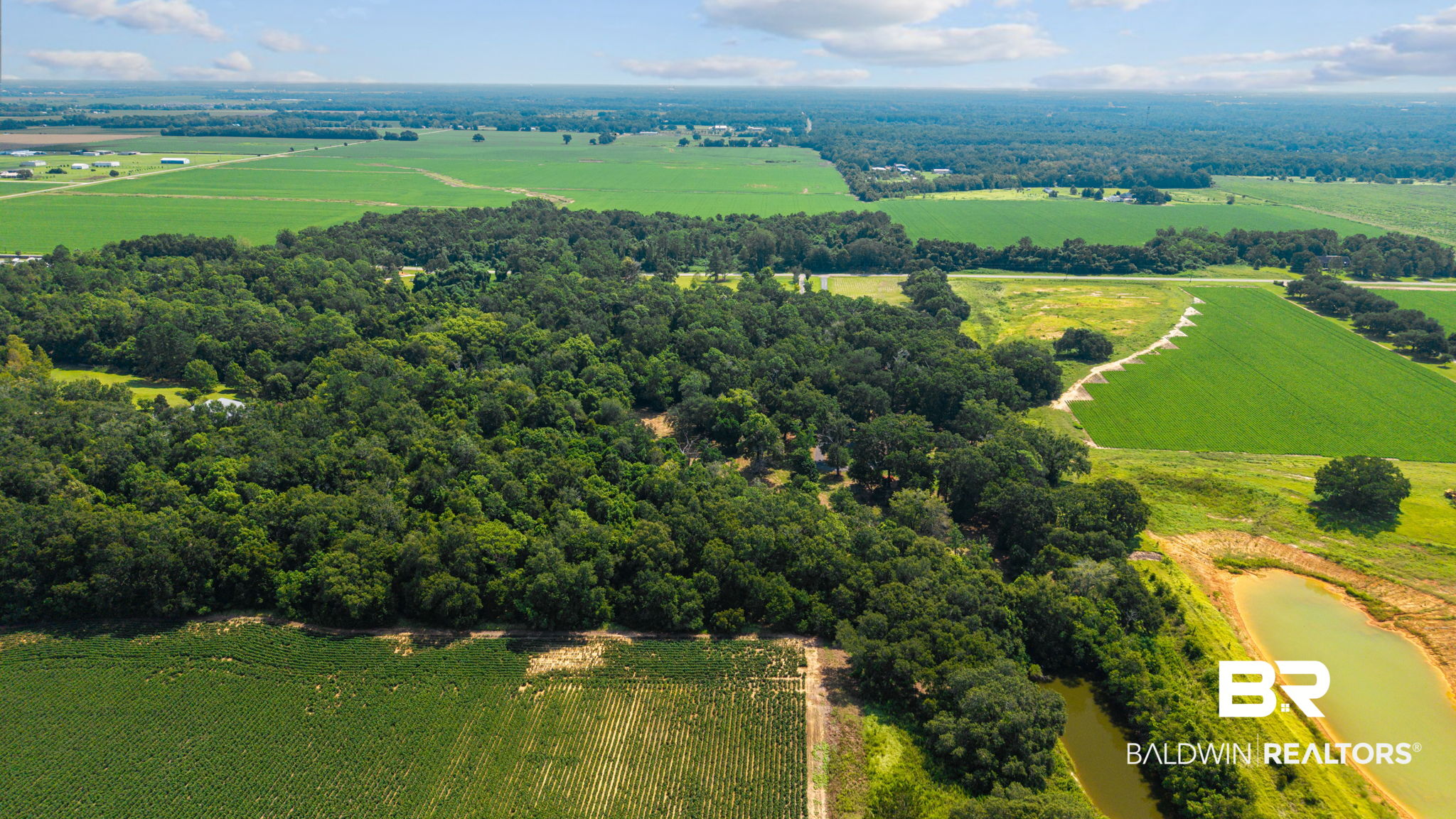 409227 | Photo 52
