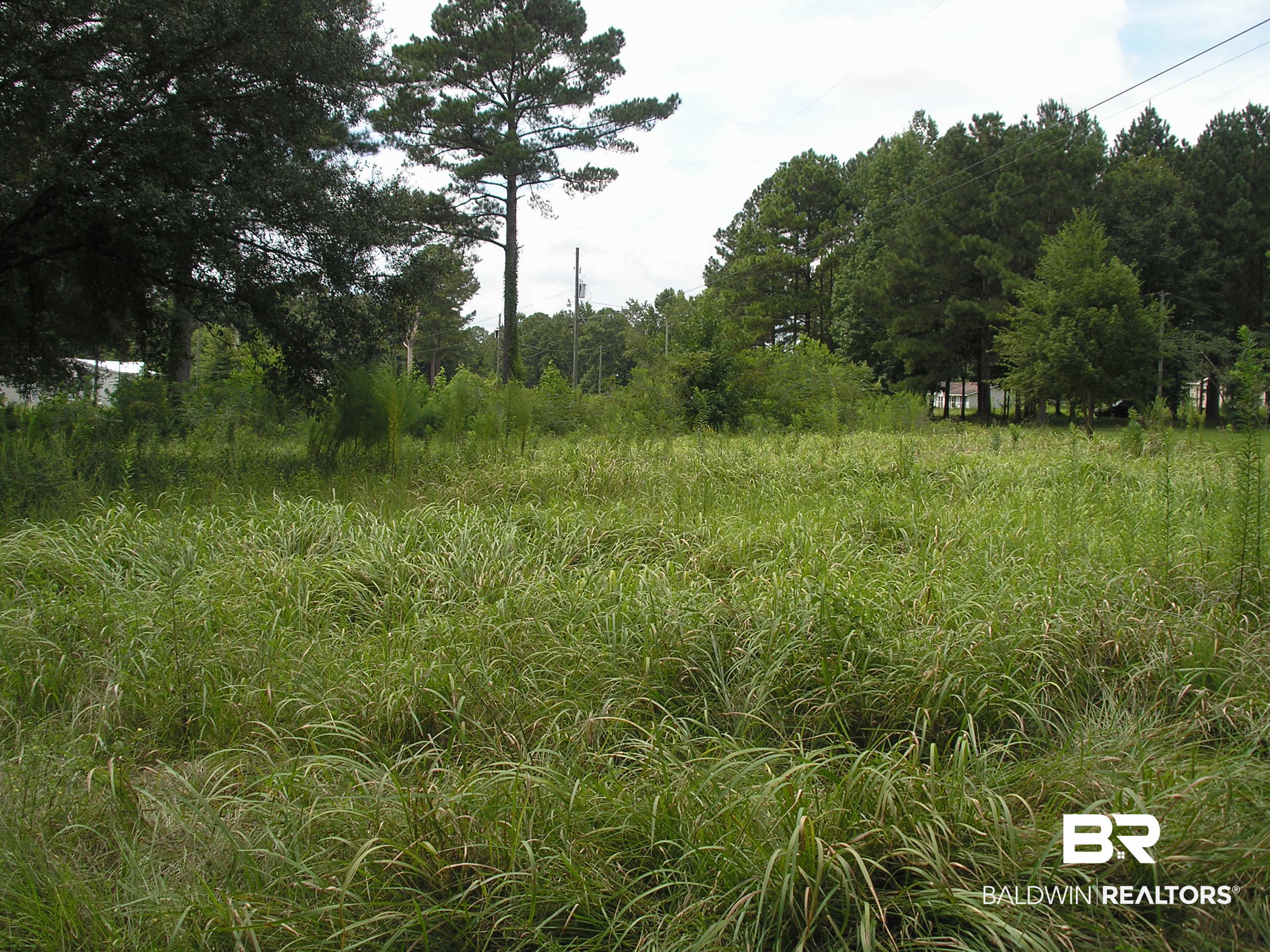 409530 | Photo 2