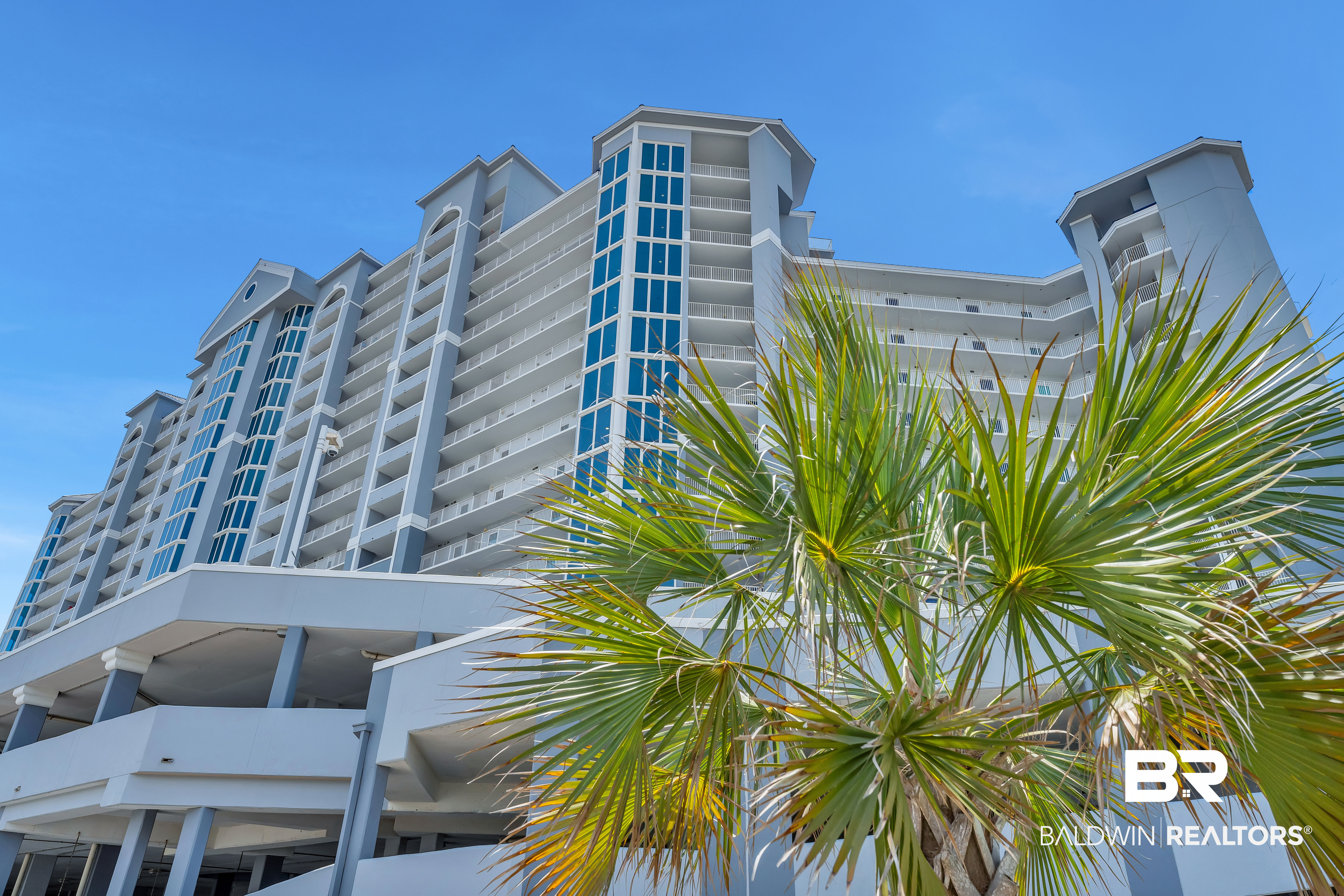 409956 | Photo 8