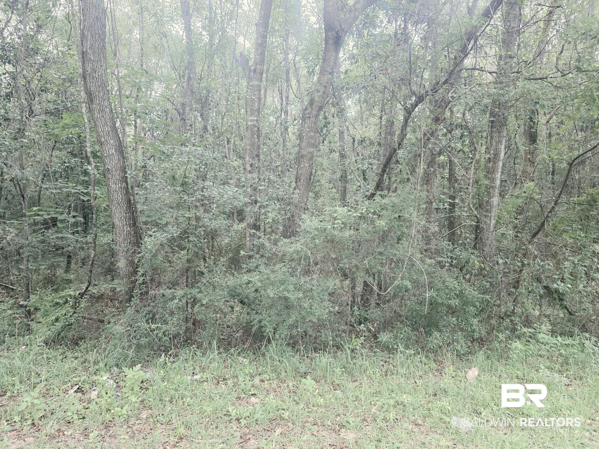 409999 | Photo 2