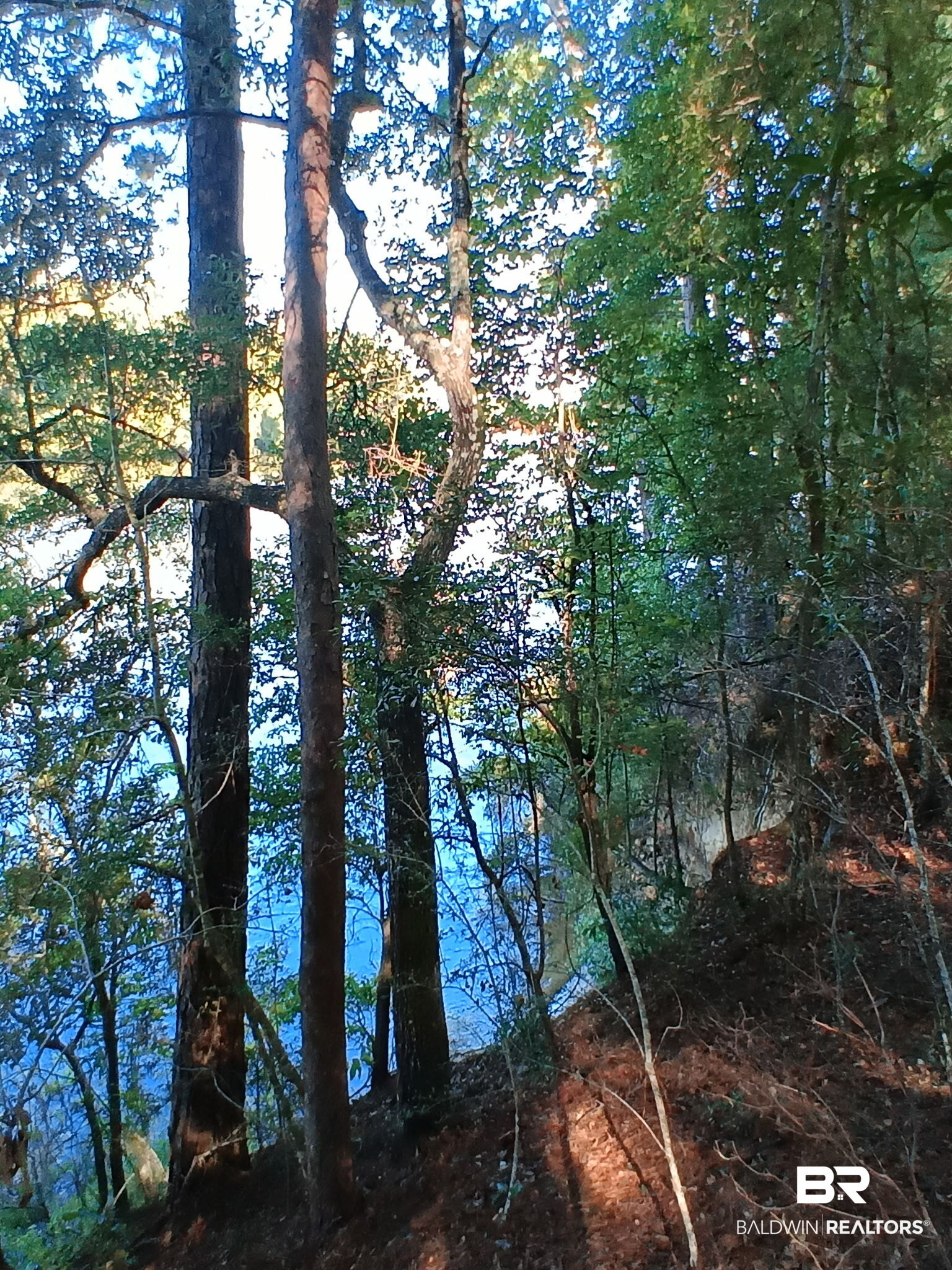 409467 | Photo 7