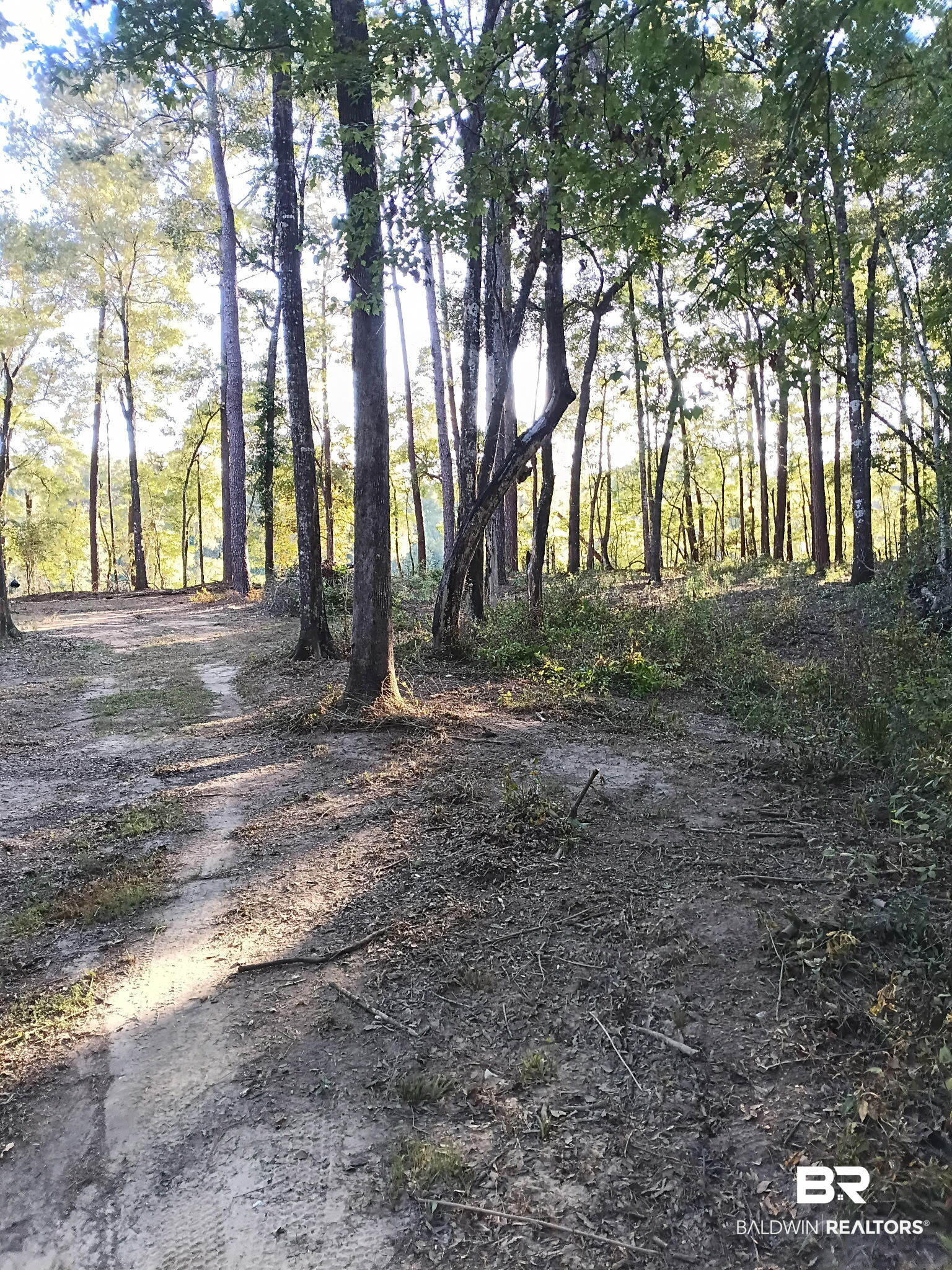 409467 | Photo 9