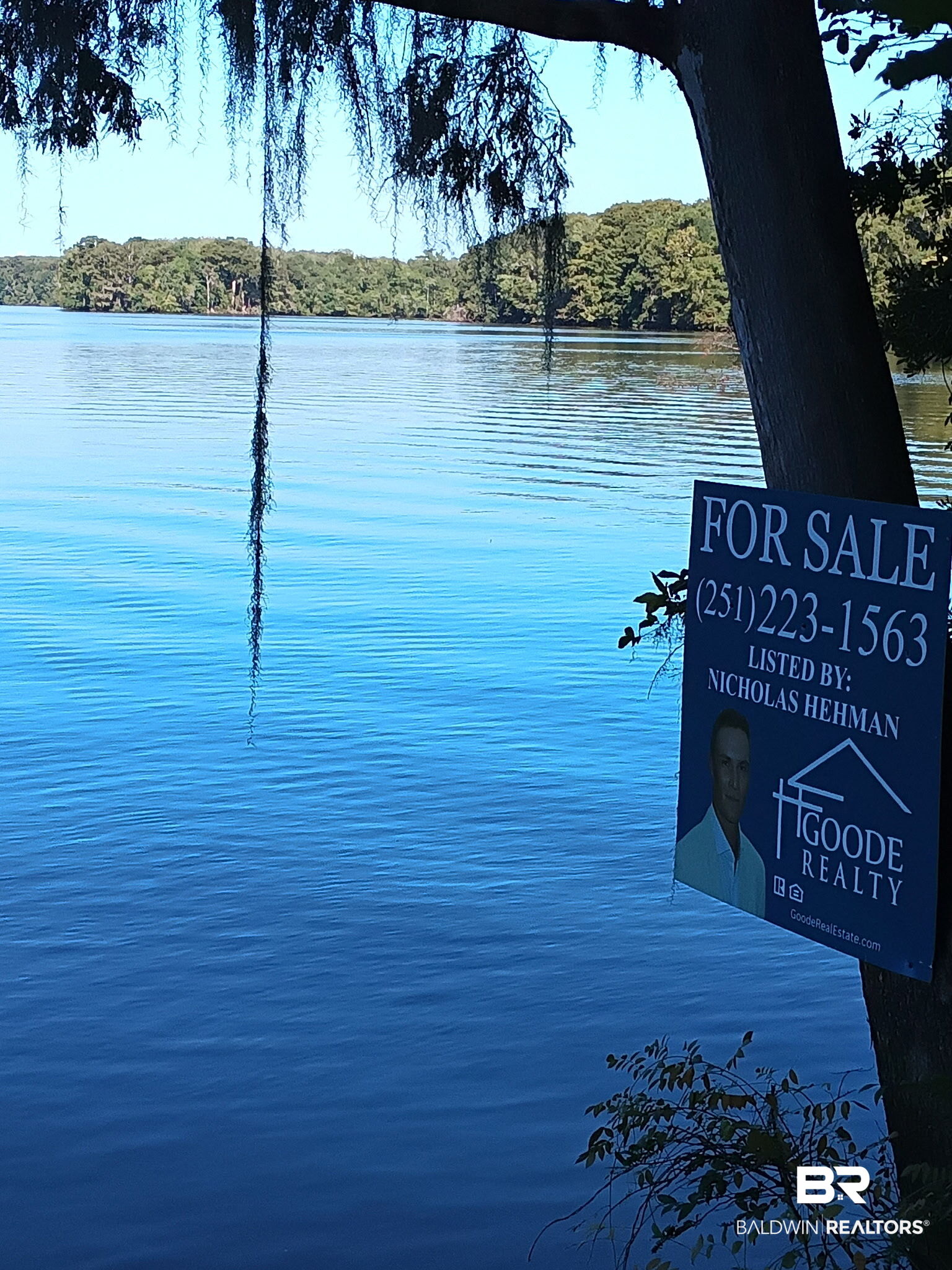 Listing Photo 409467