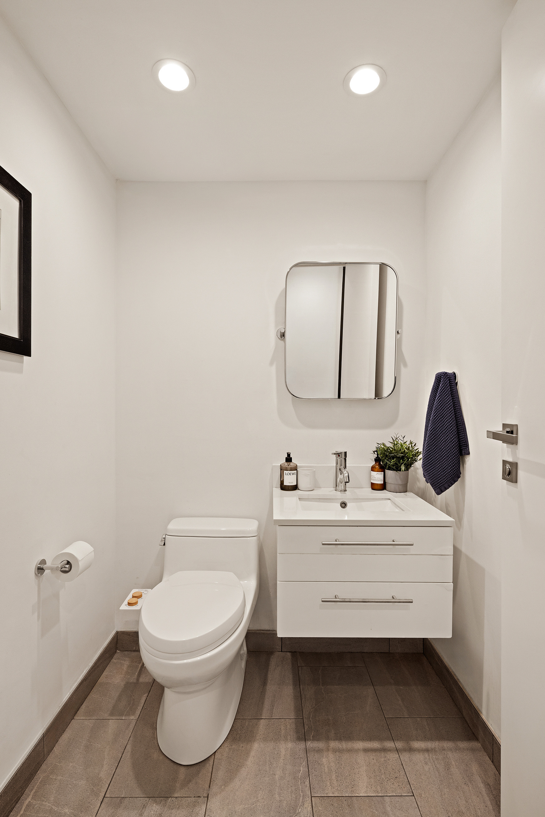 316 Carroll Street 1 Gowanus Brooklyn NY 11231