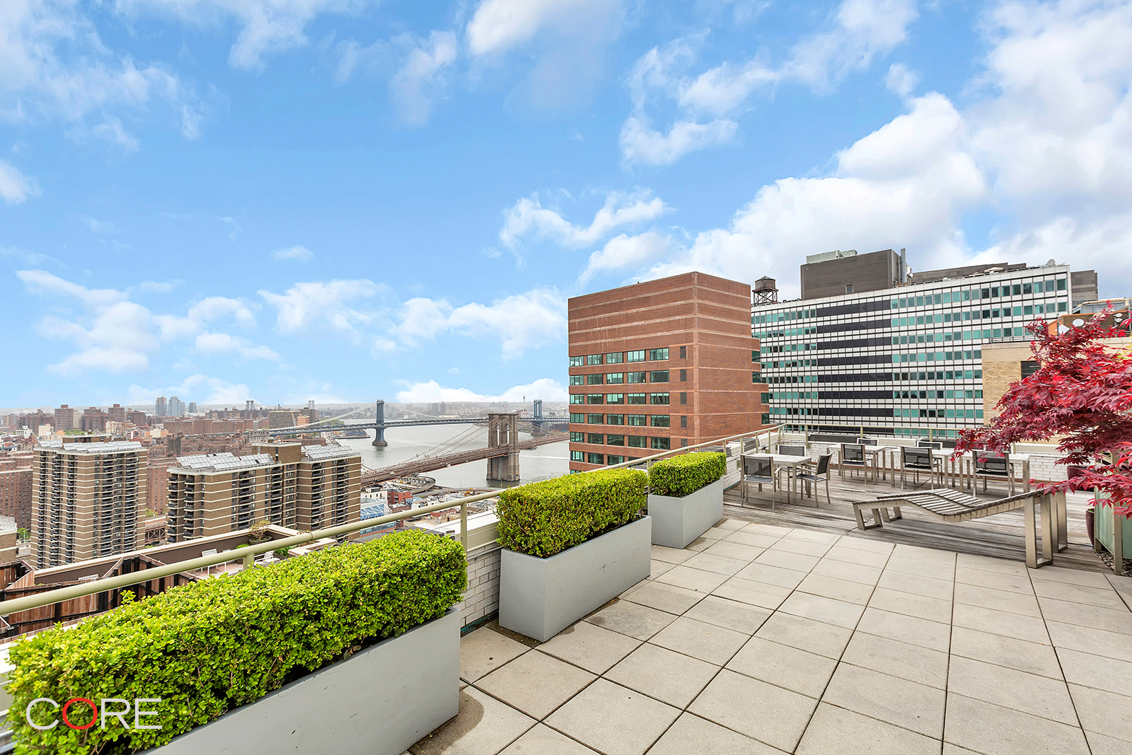 99 John Street 902 Seaport District New York NY 10038