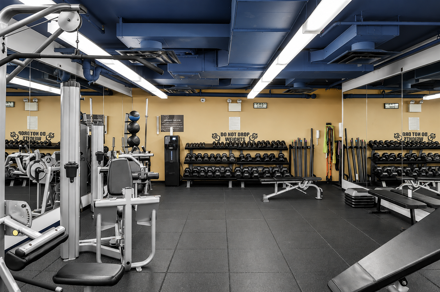 306 Gold Street 8E Downtown Brooklyn NY 11201
